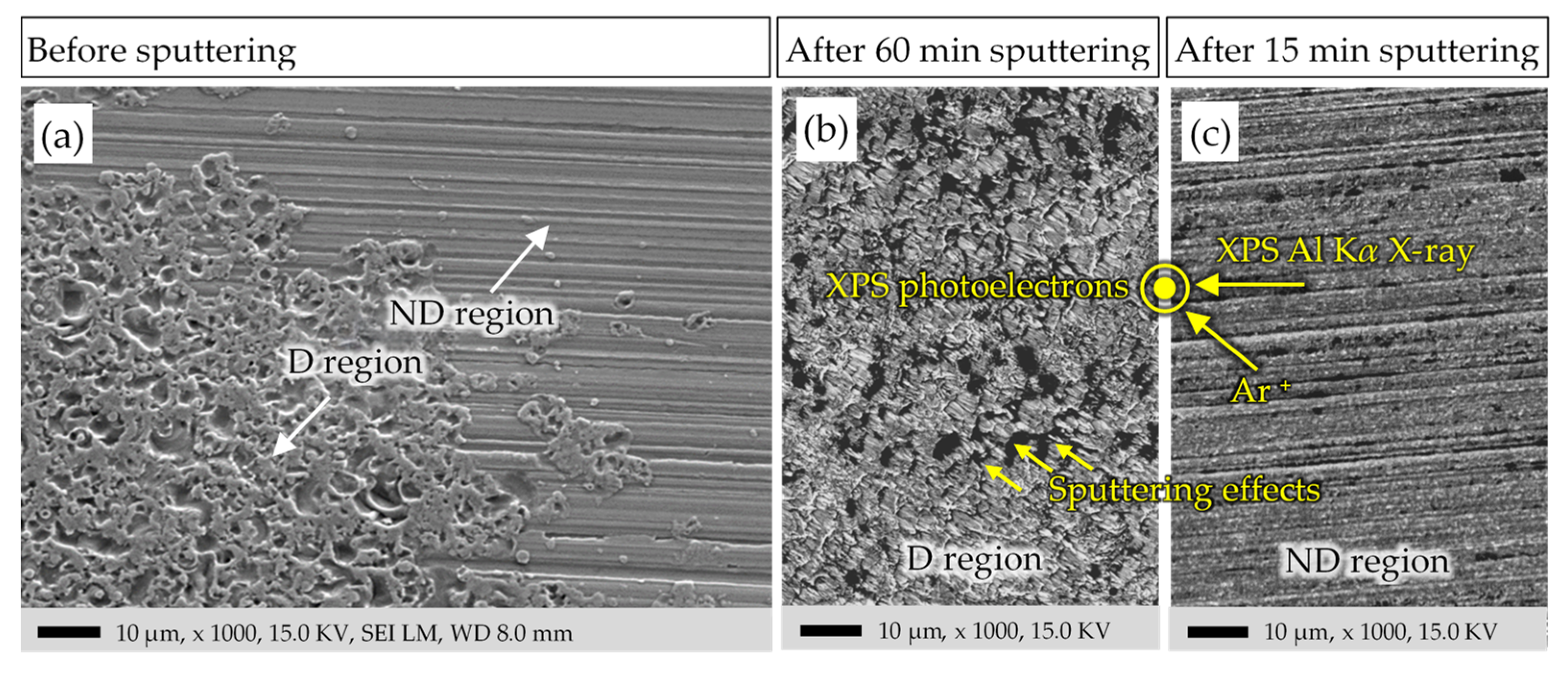 Lubricants 12 00148 g010