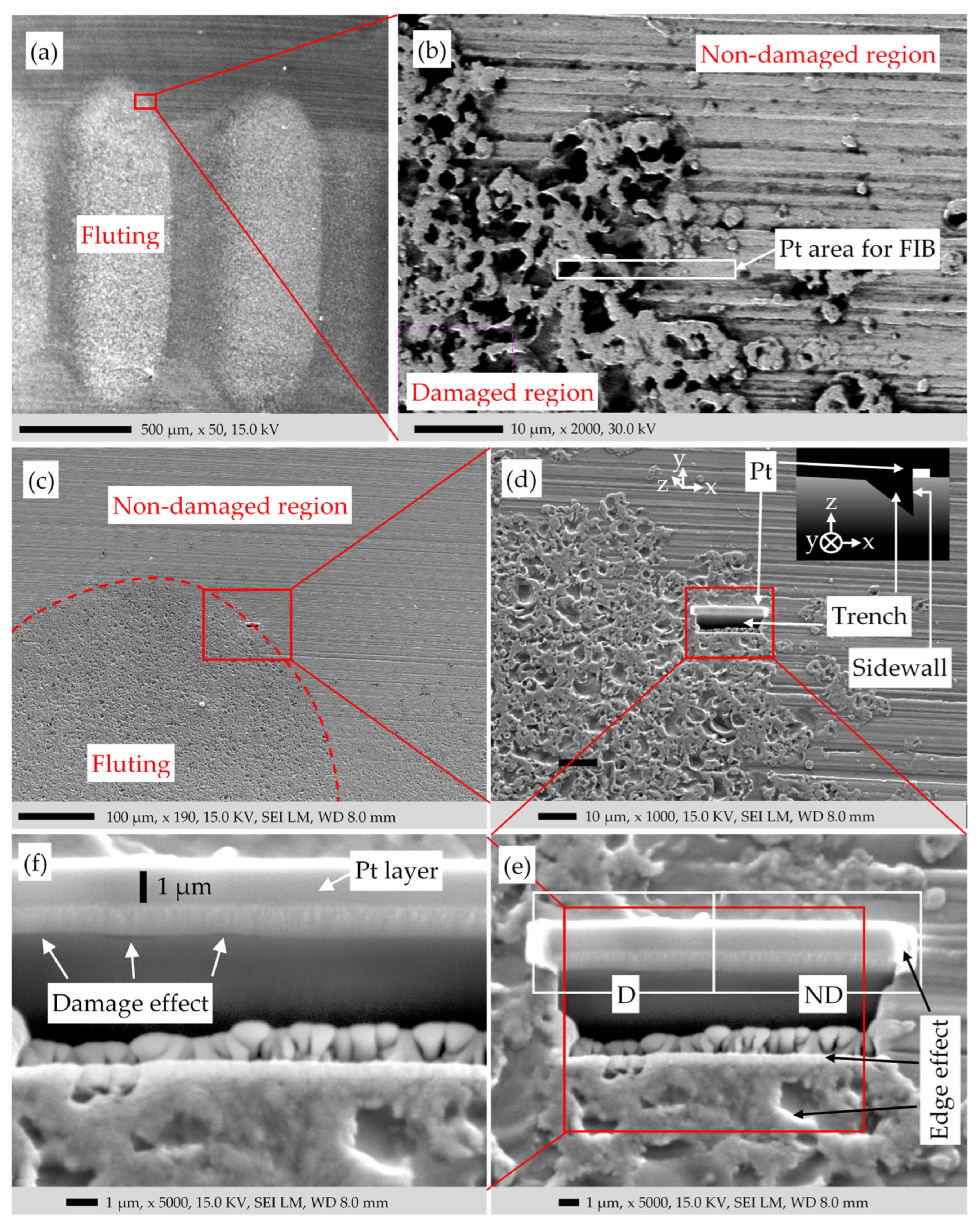 Lubricants 12 00148 g011