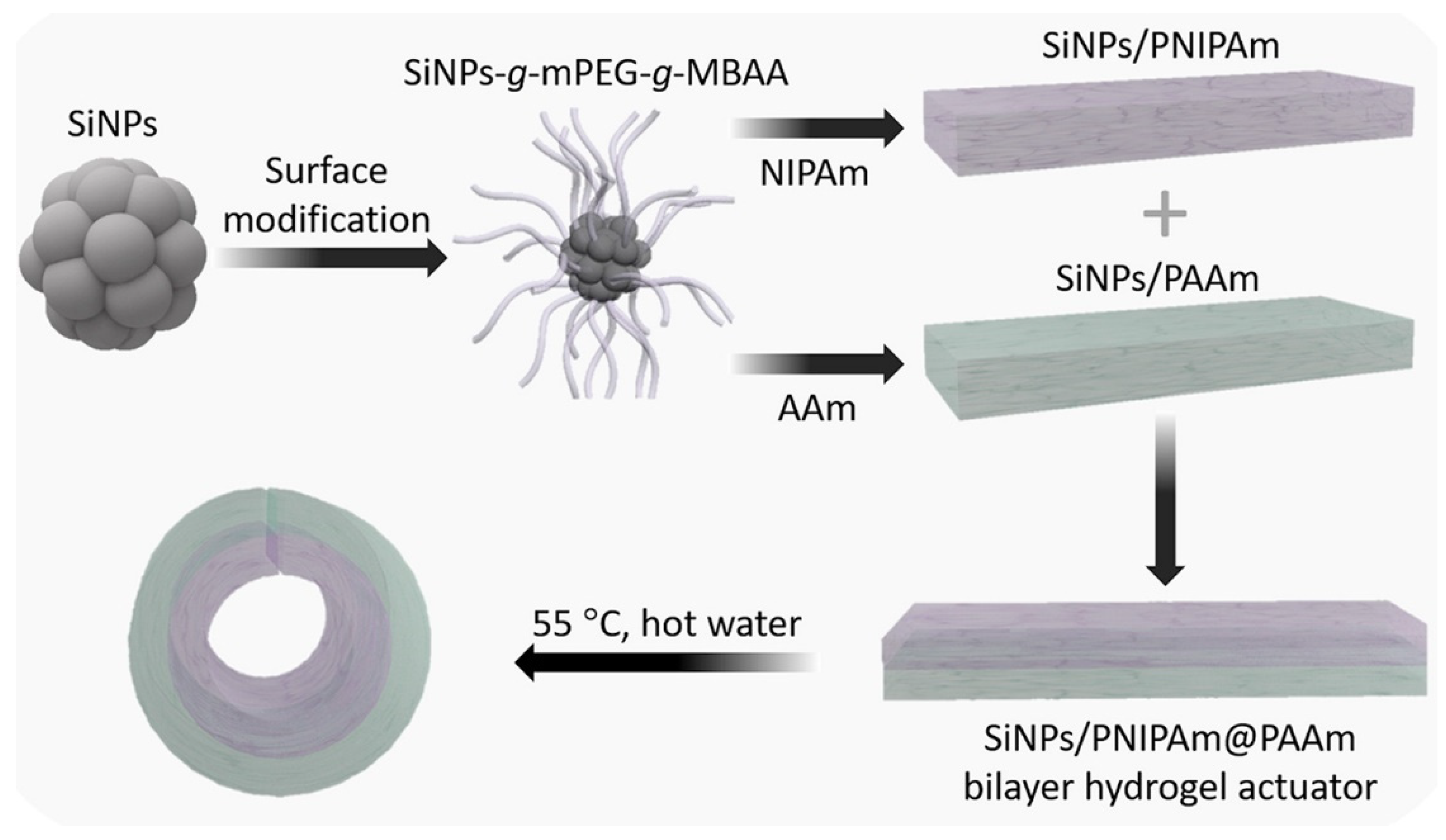 Lubricants 12 00149 g008