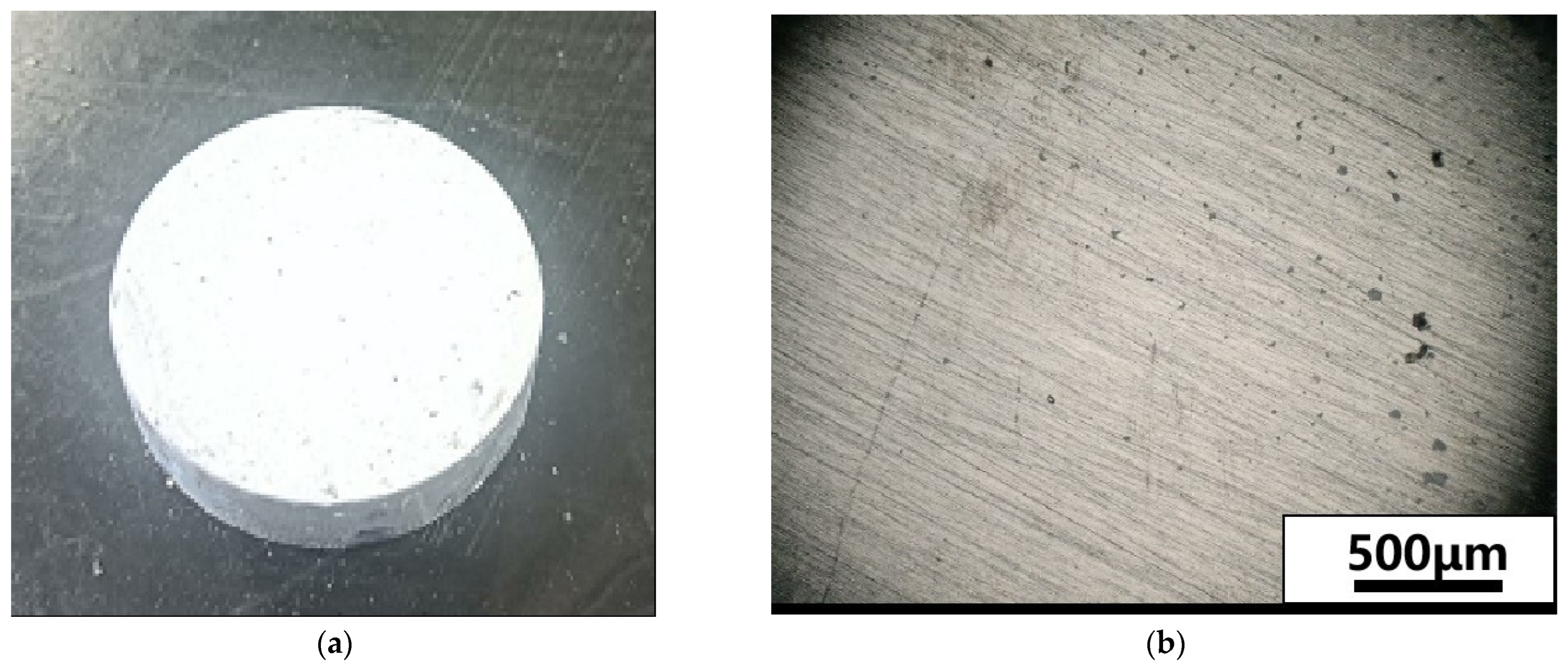 Lubricants 12 00154 g003a