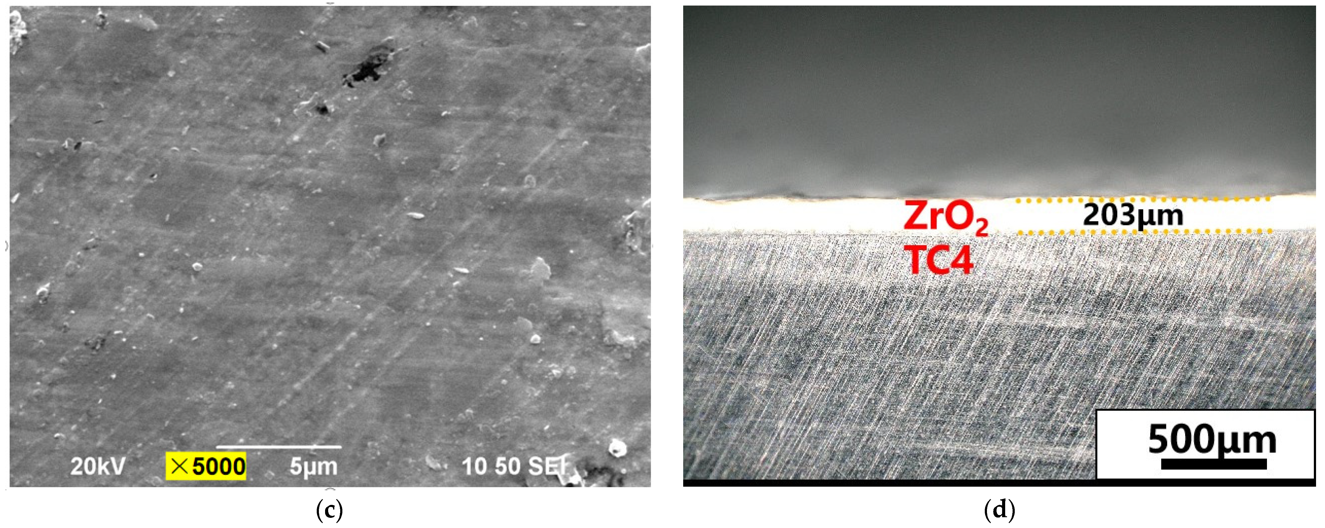 Lubricants 12 00154 g003b