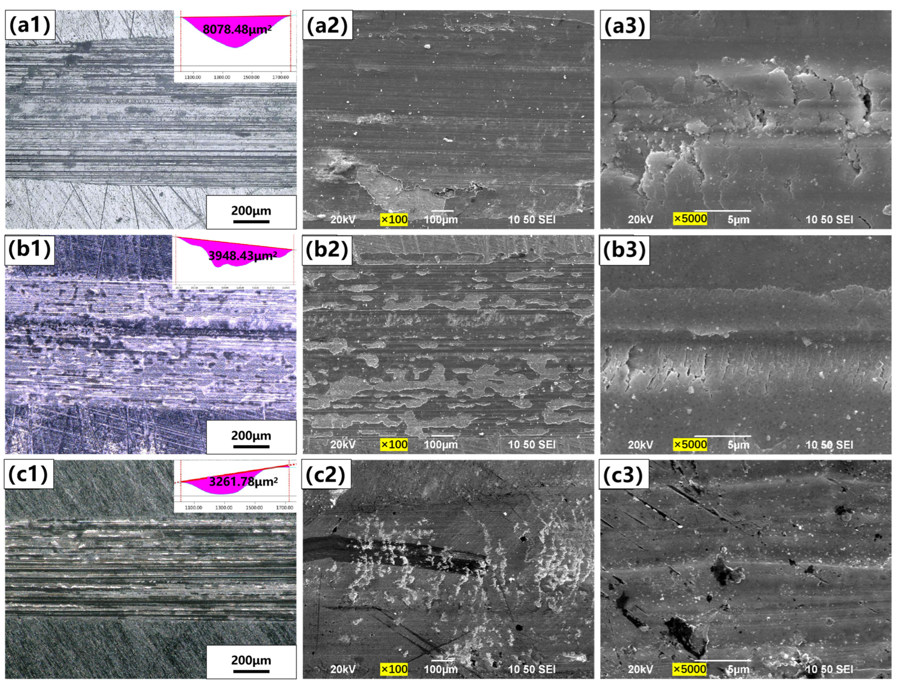 Lubricants 12 00154 g014