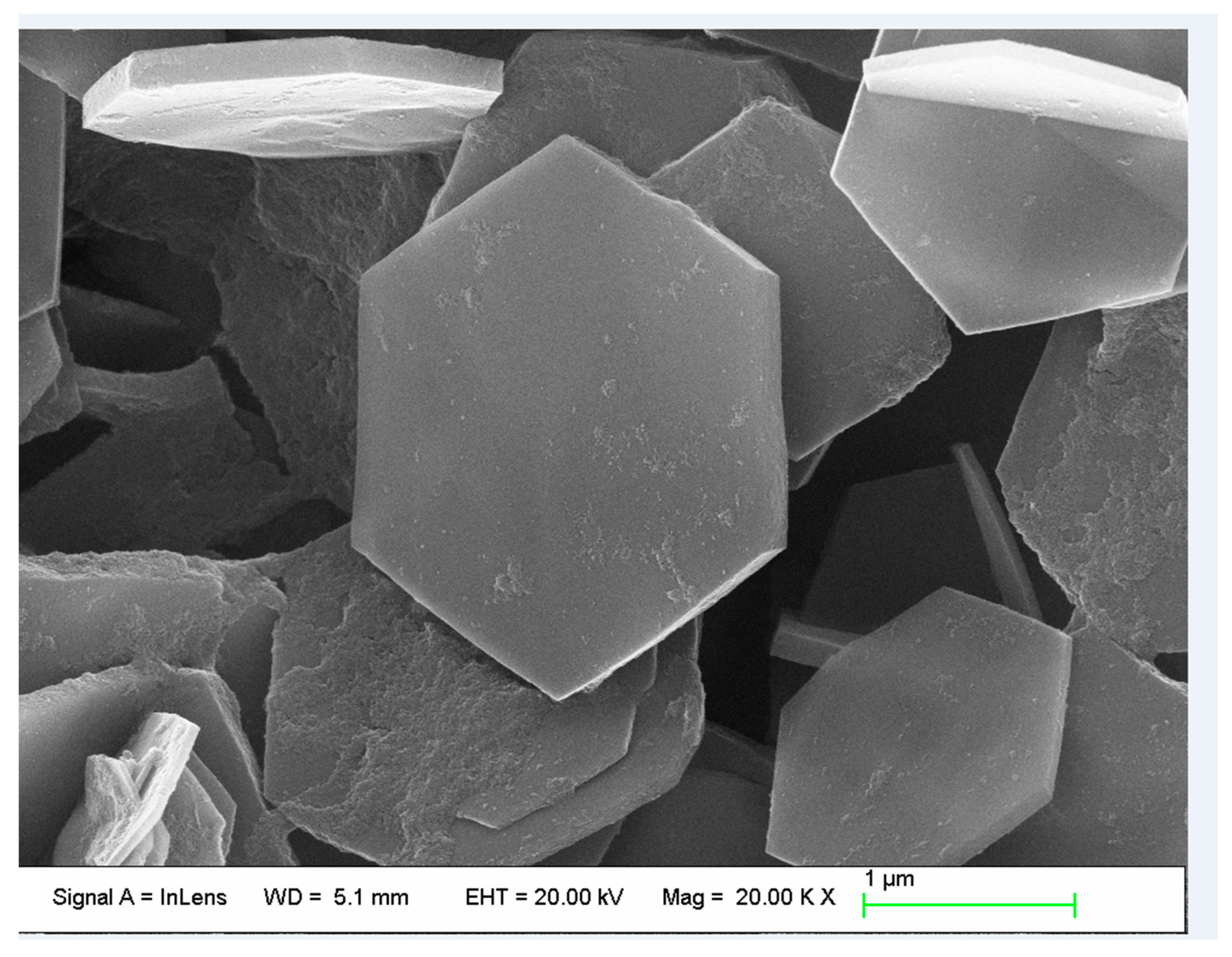 Lubricants 12 00155 g003