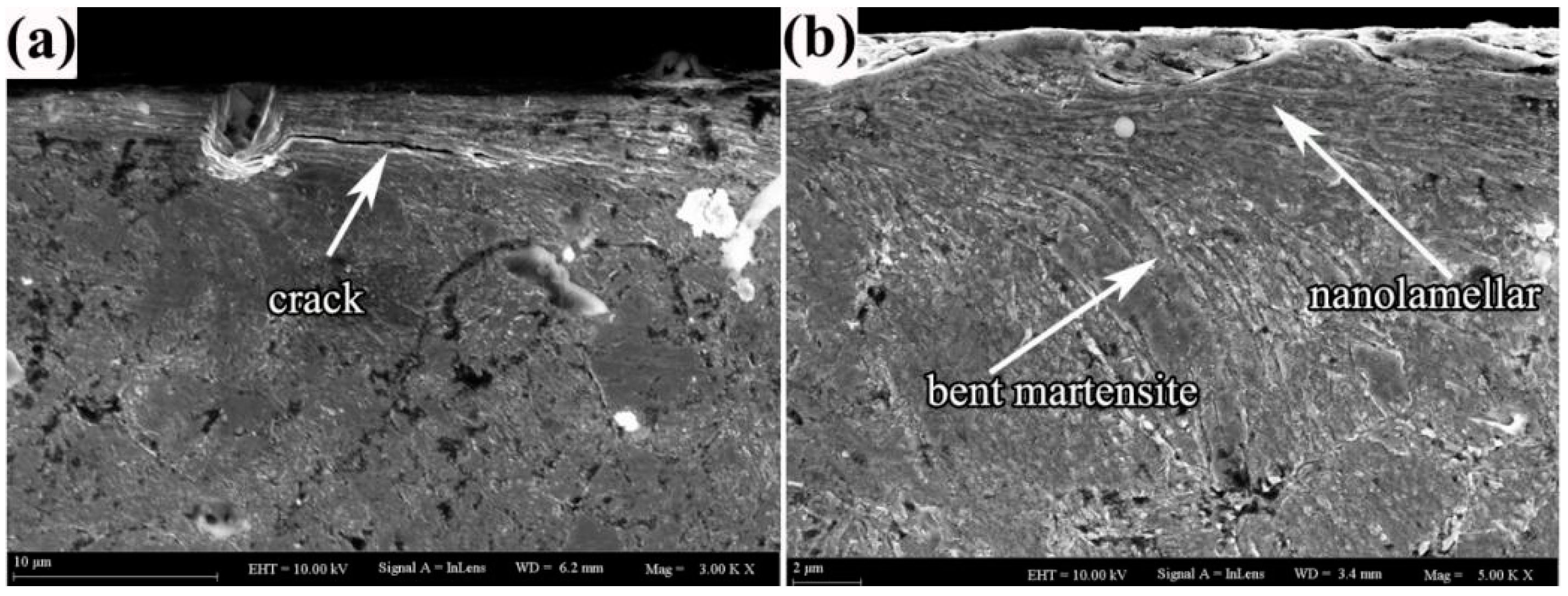 Lubricants 12 00157 g005