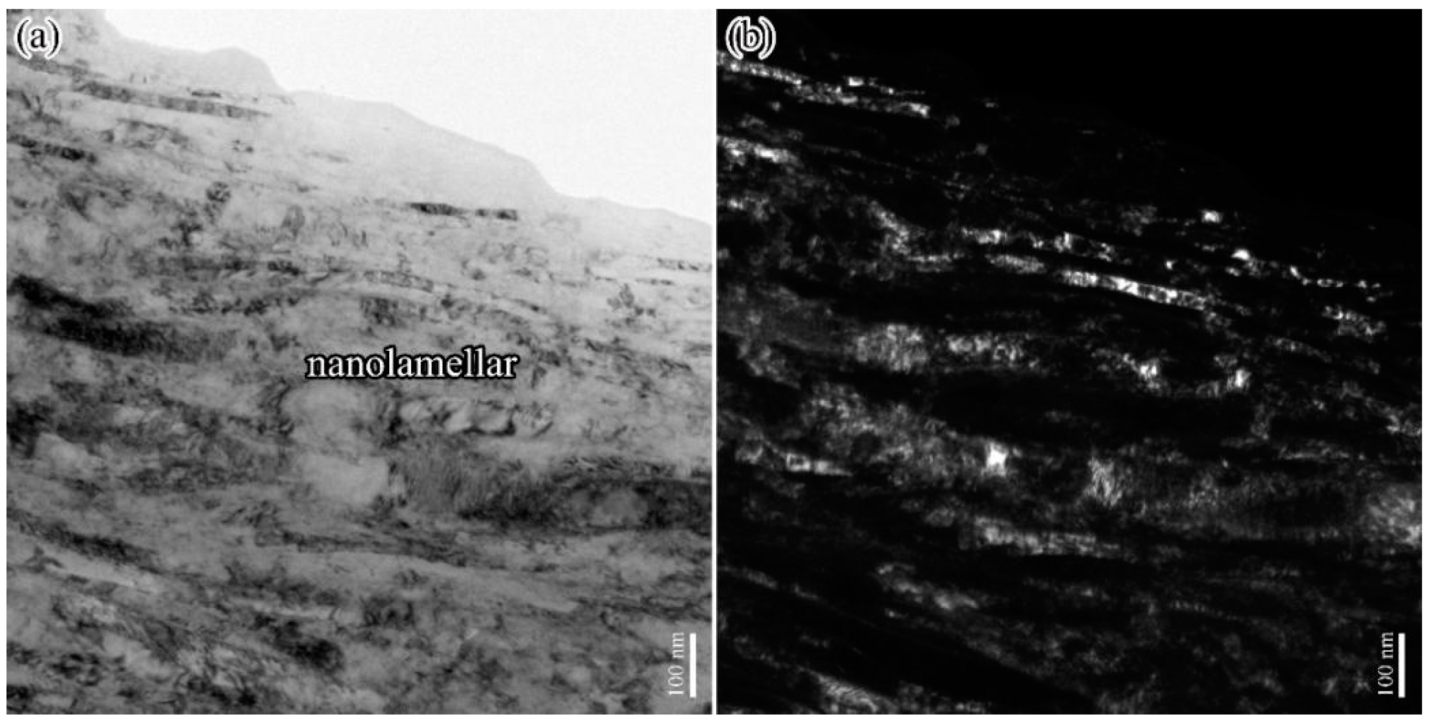 Lubricants 12 00157 g006