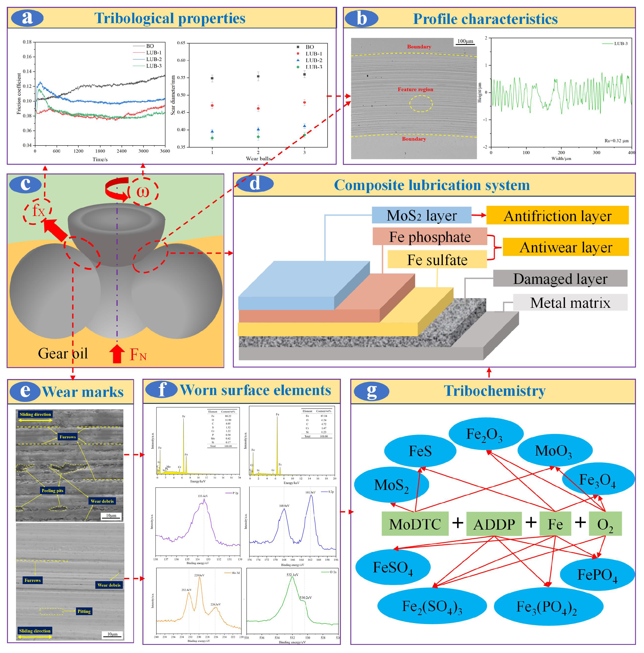 Lubricants 12 00165 g011