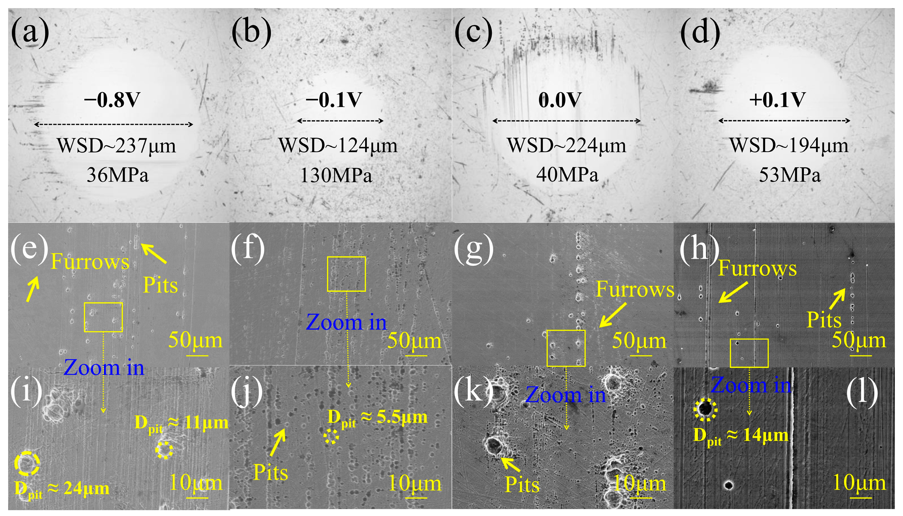 Lubricants 12 00167 g003