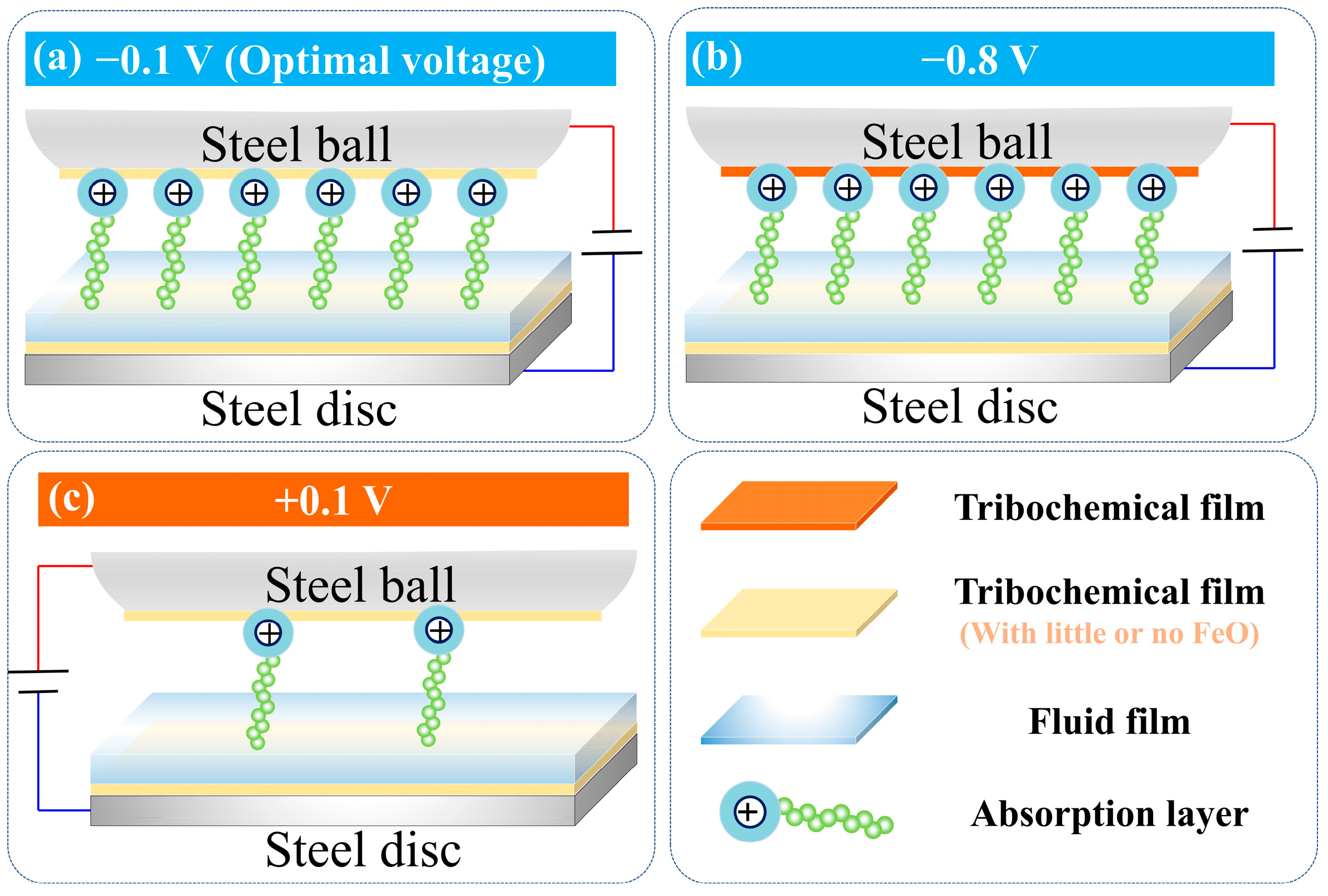 Lubricants 12 00167 g008
