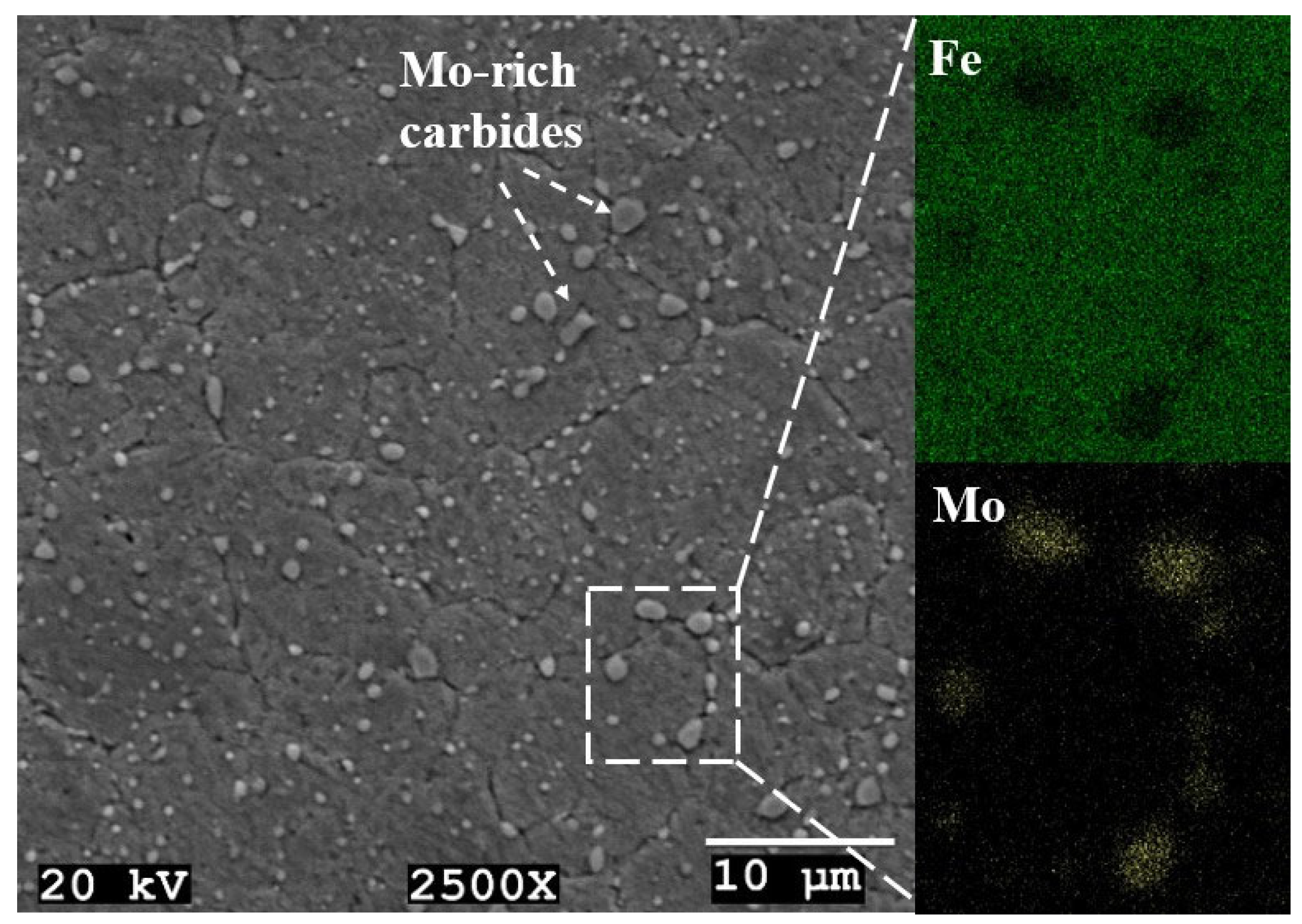 Lubricants 12 00170 g002