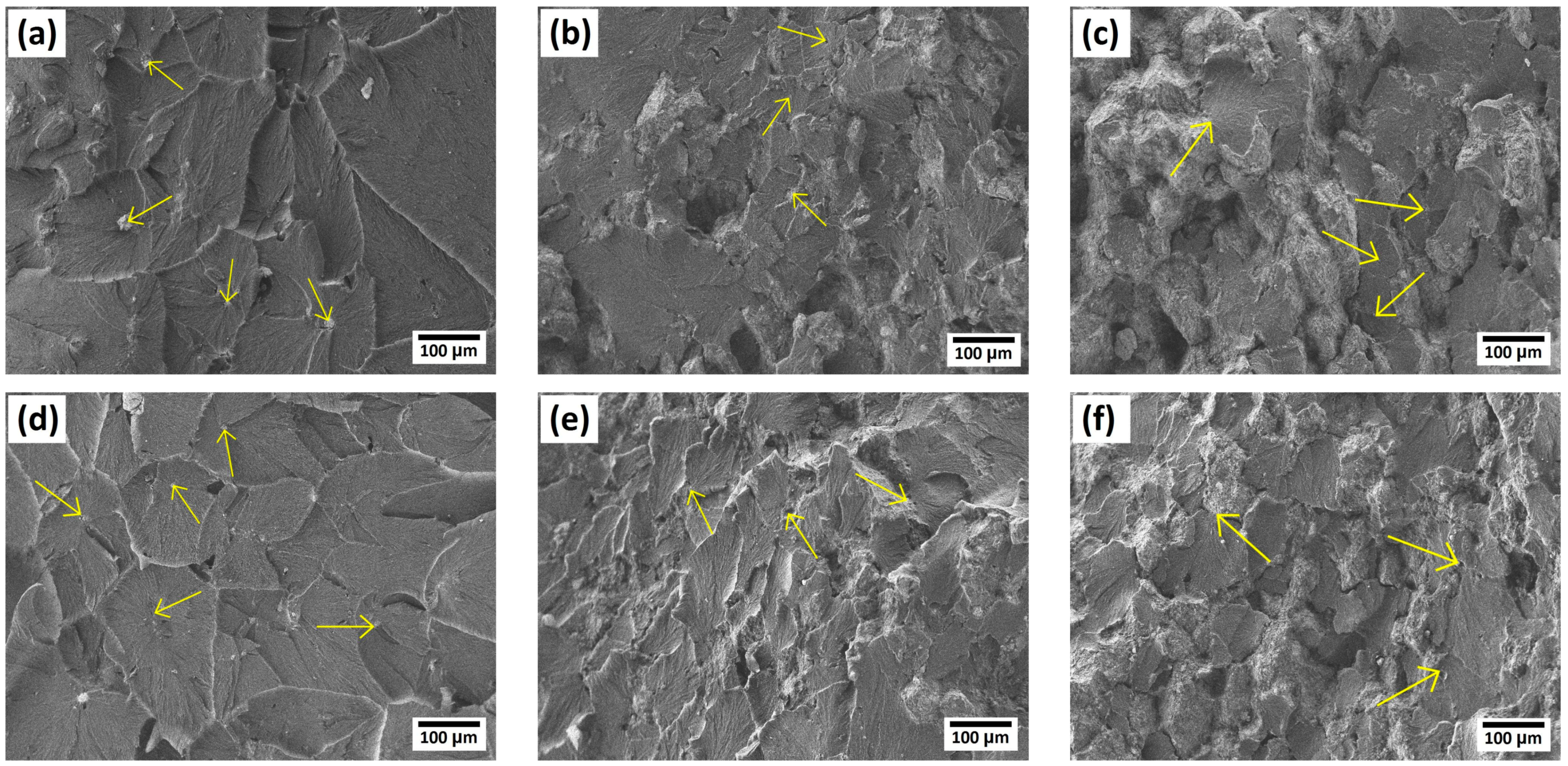 Lubricants 12 00174 g002