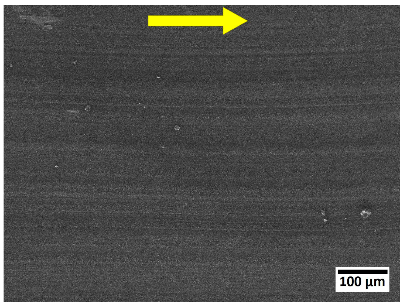 Lubricants 12 00174 g004