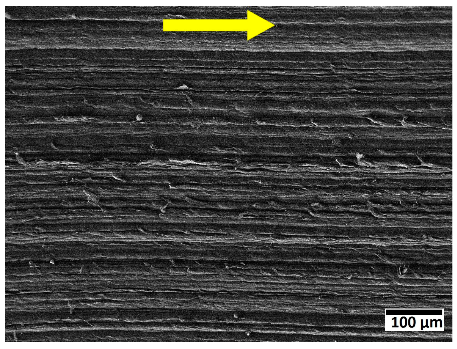 Lubricants 12 00174 g008