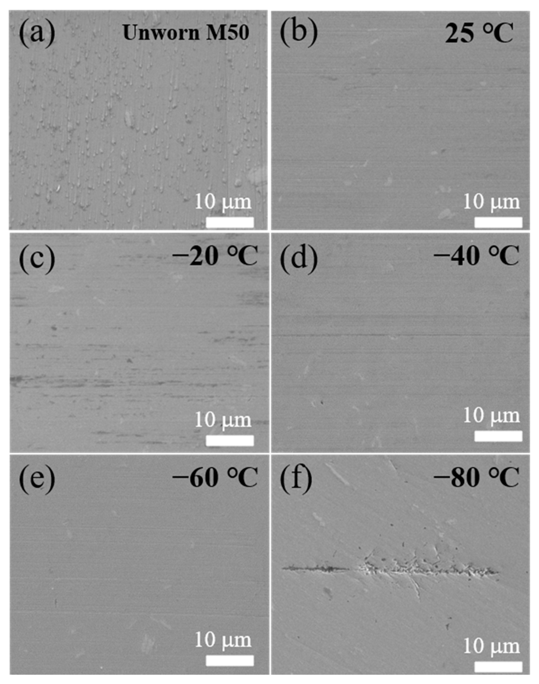 Lubricants 12 00176 g005