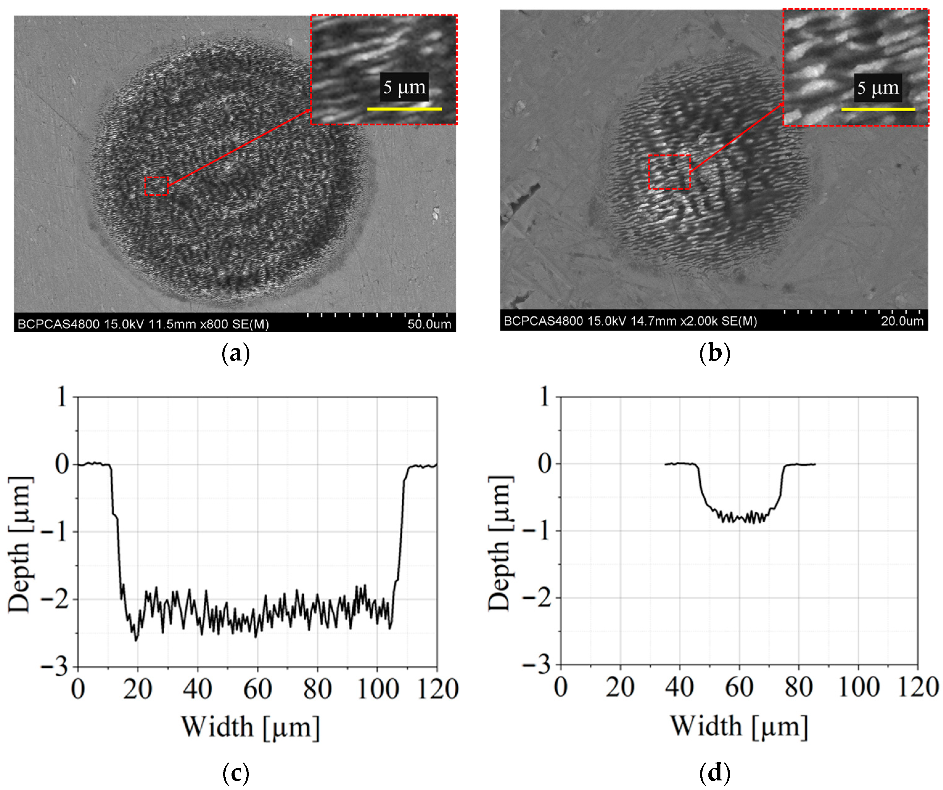 Lubricants 12 00187 g007