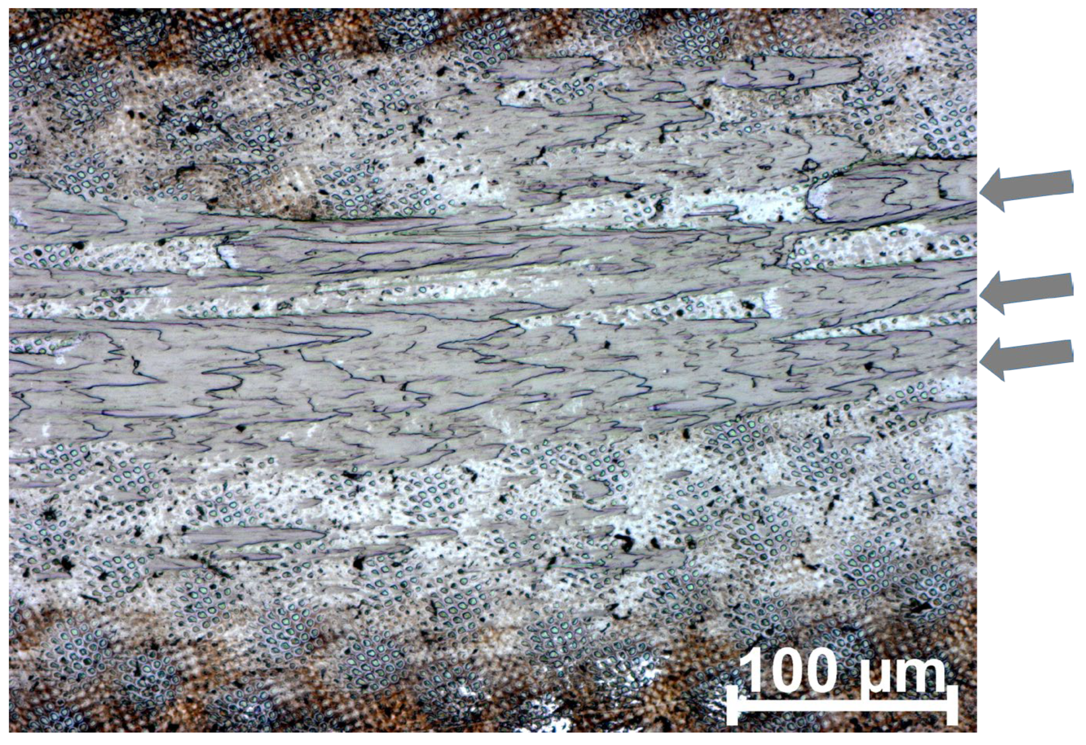 Lubricants 12 00200 g005