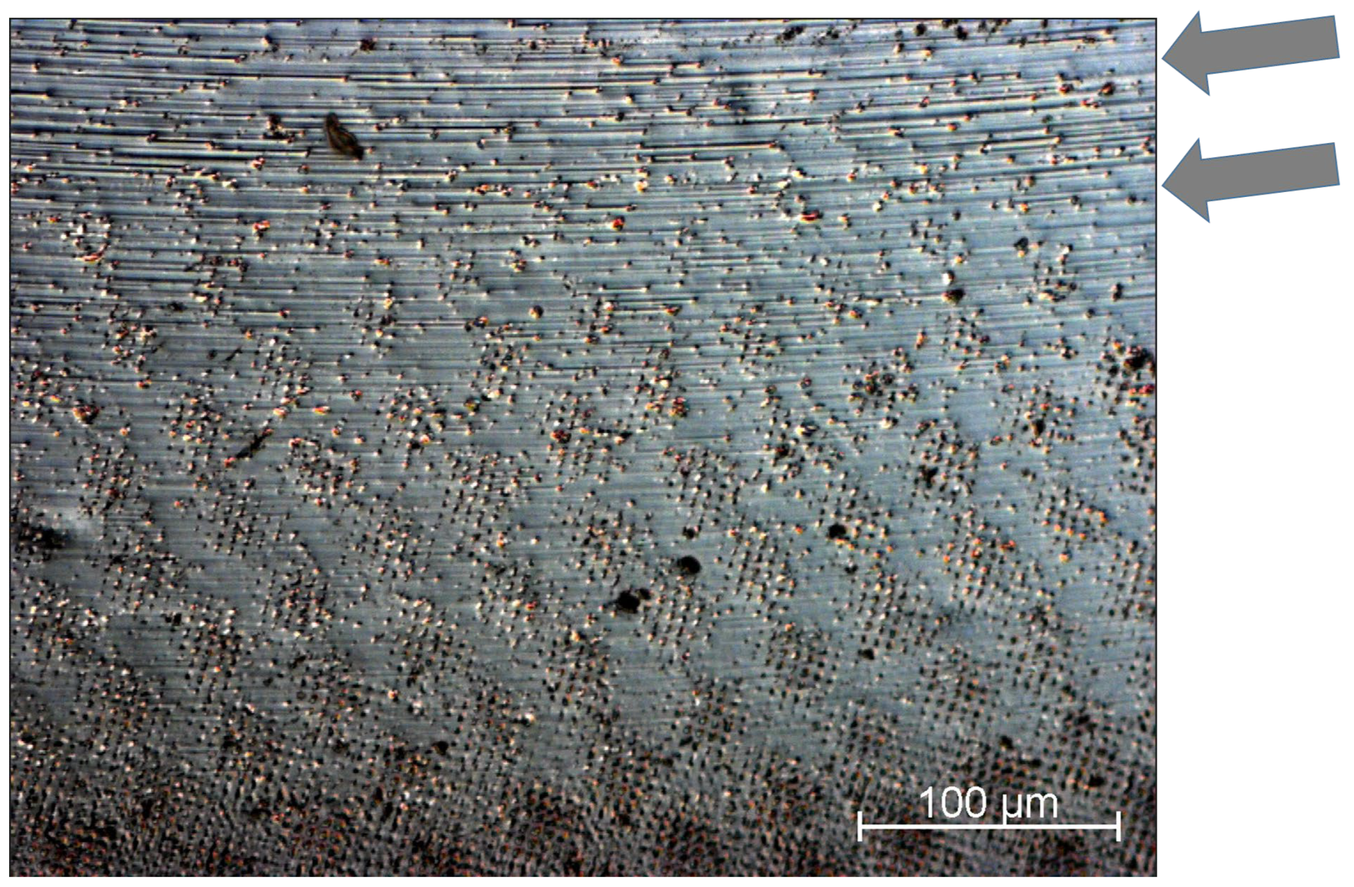 Lubricants 12 00200 g006