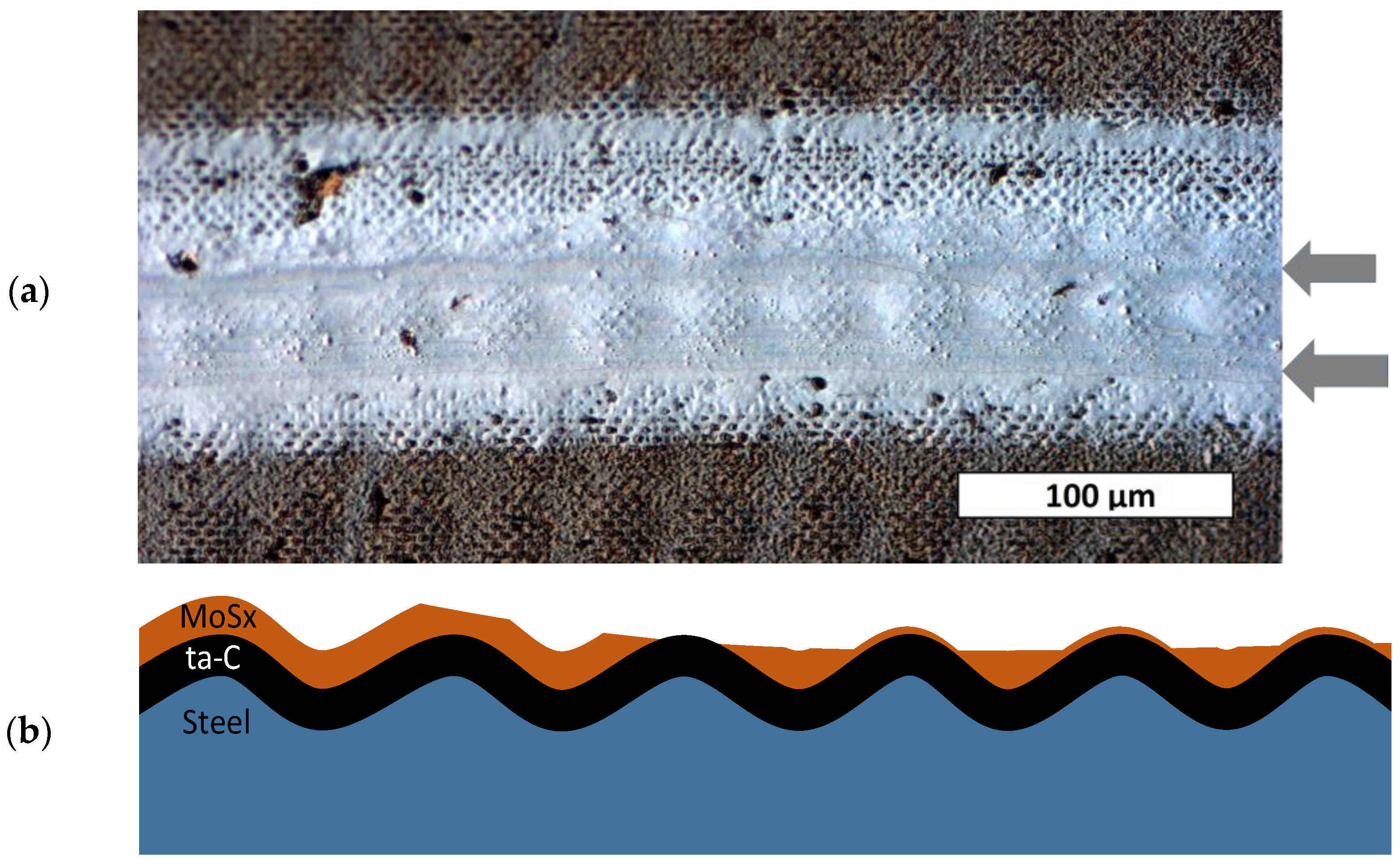 Lubricants 12 00200 g007