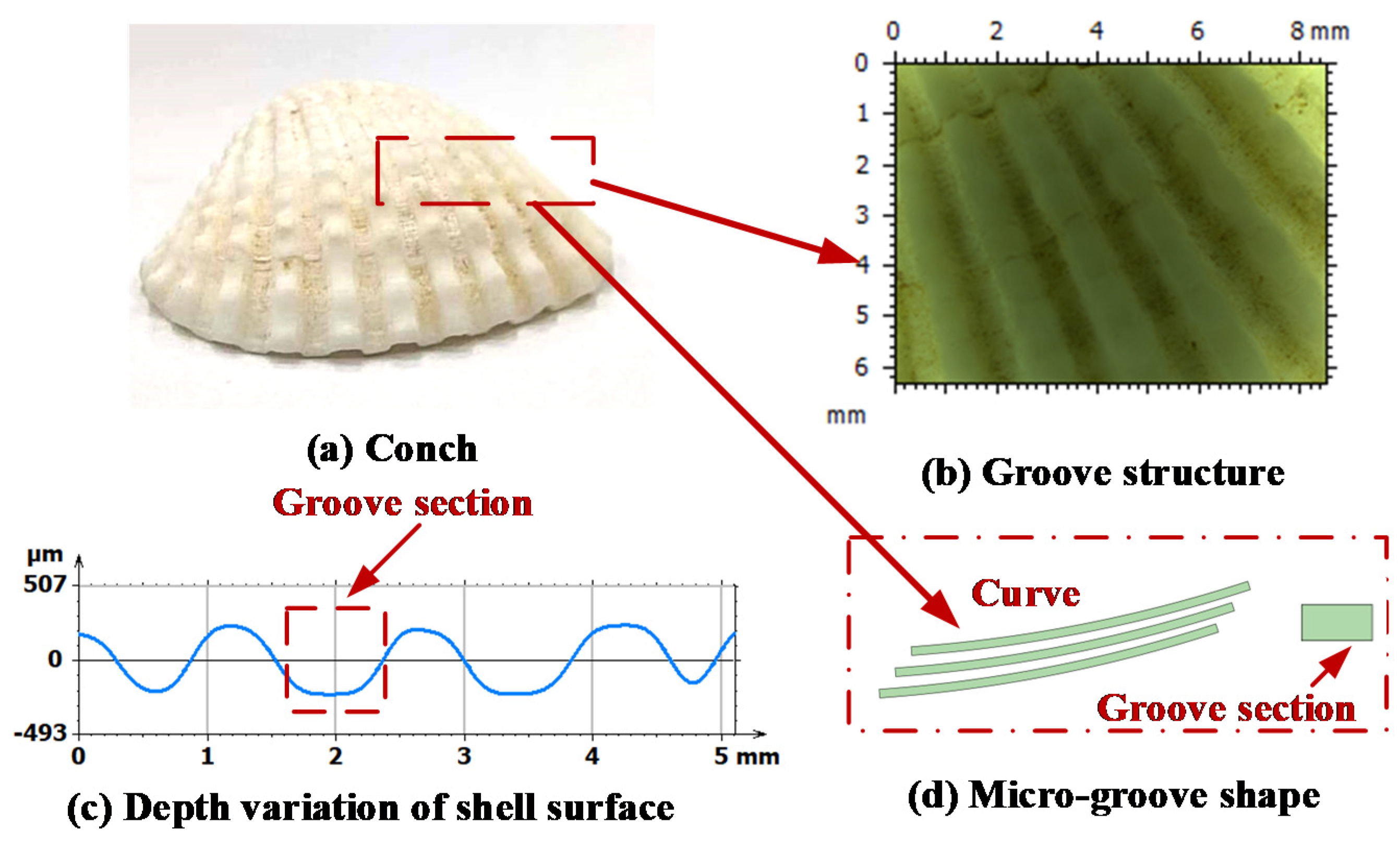 Lubricants 12 00204 g004