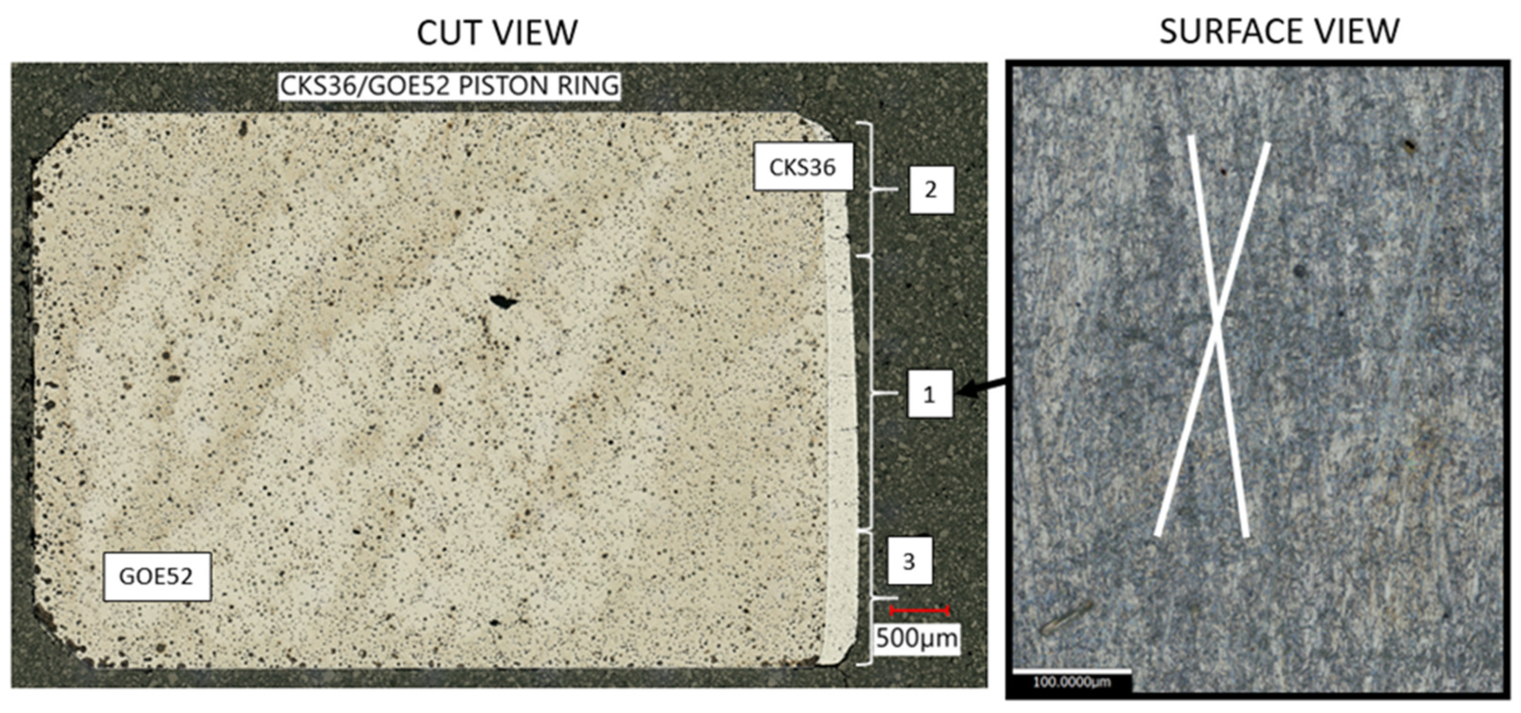 Lubricants 12 00218 g001