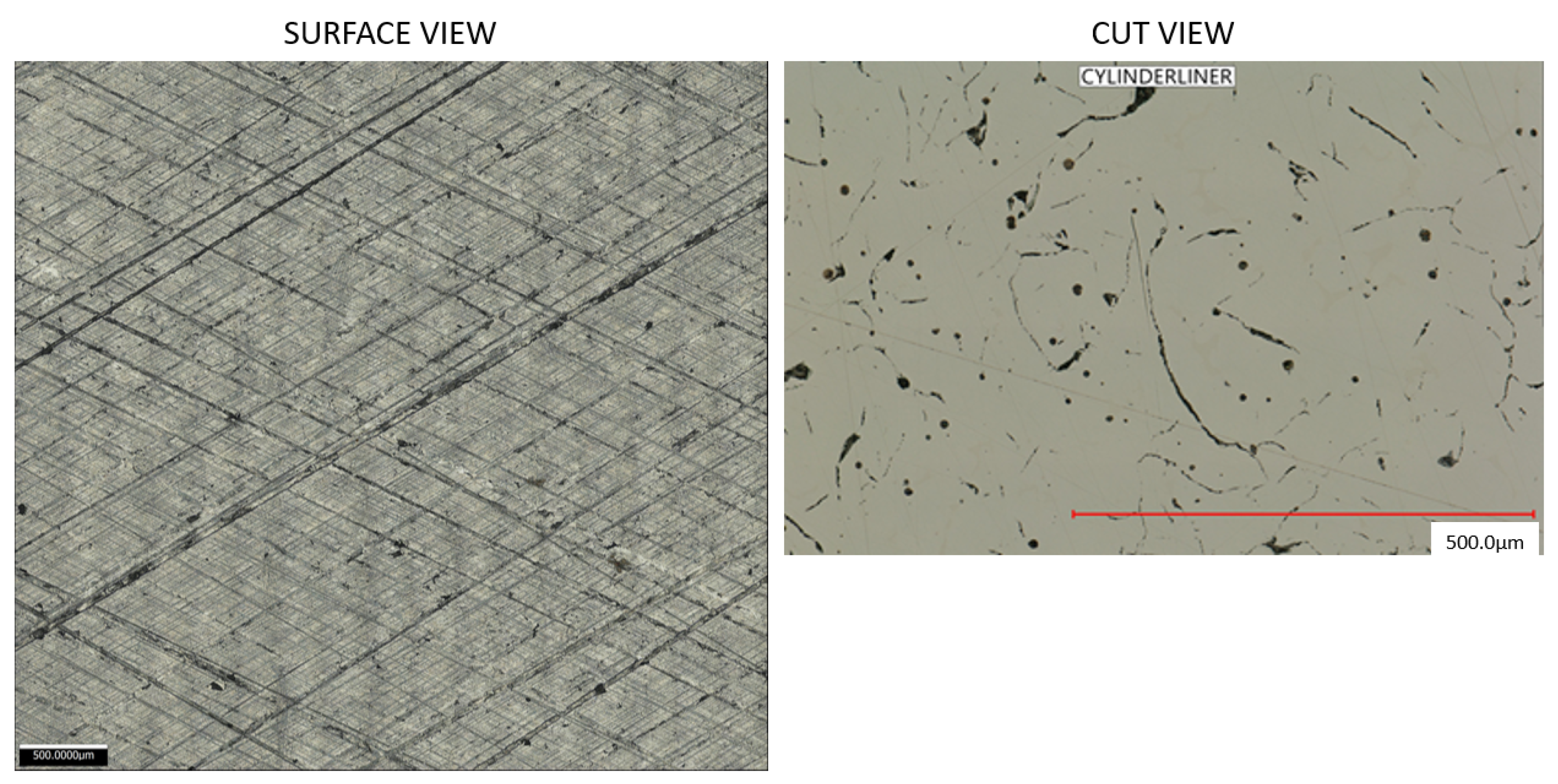 Lubricants 12 00218 g002