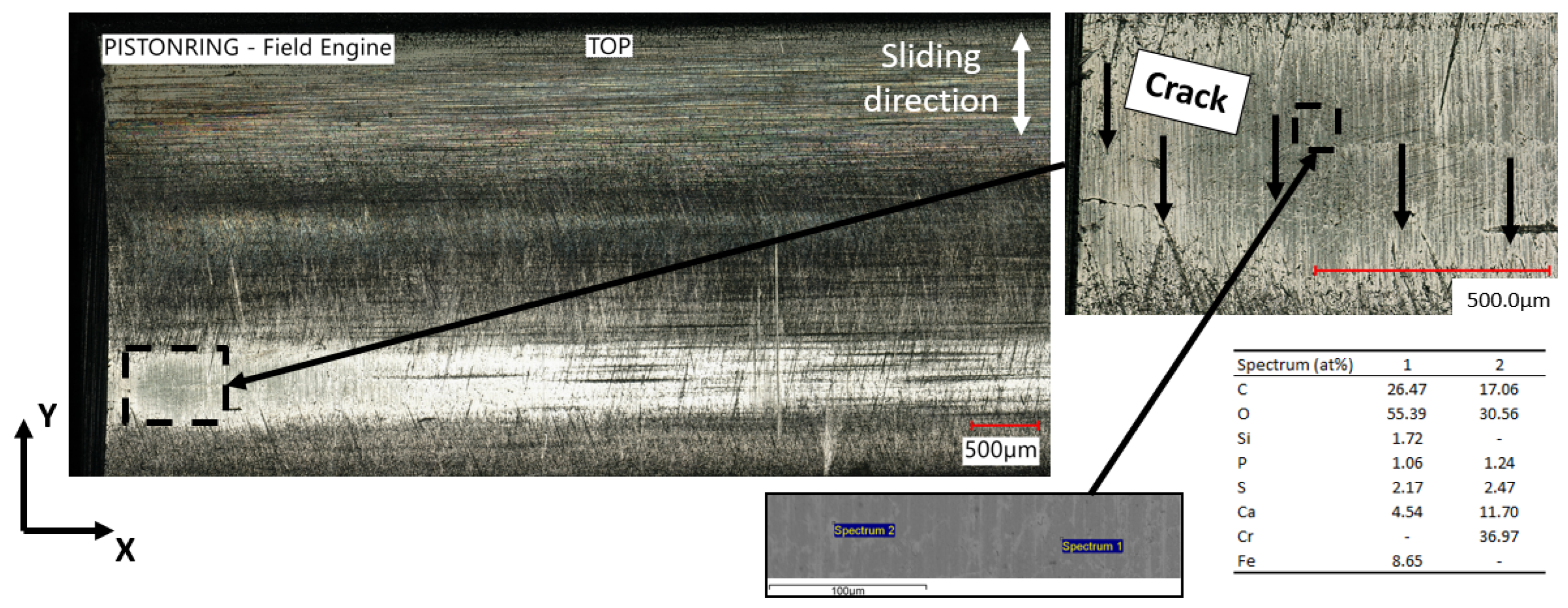 Lubricants 12 00218 g003