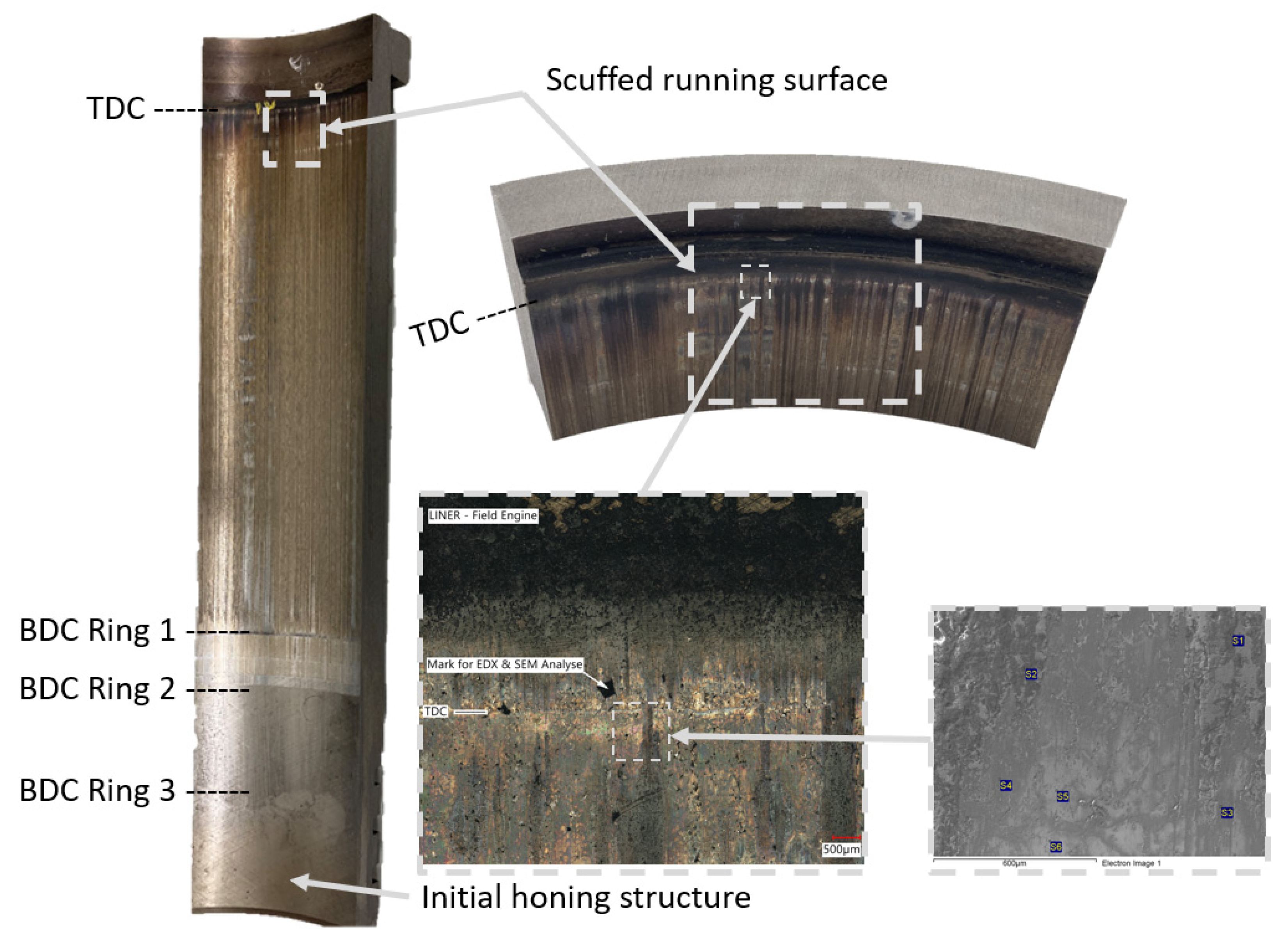Lubricants 12 00218 g004