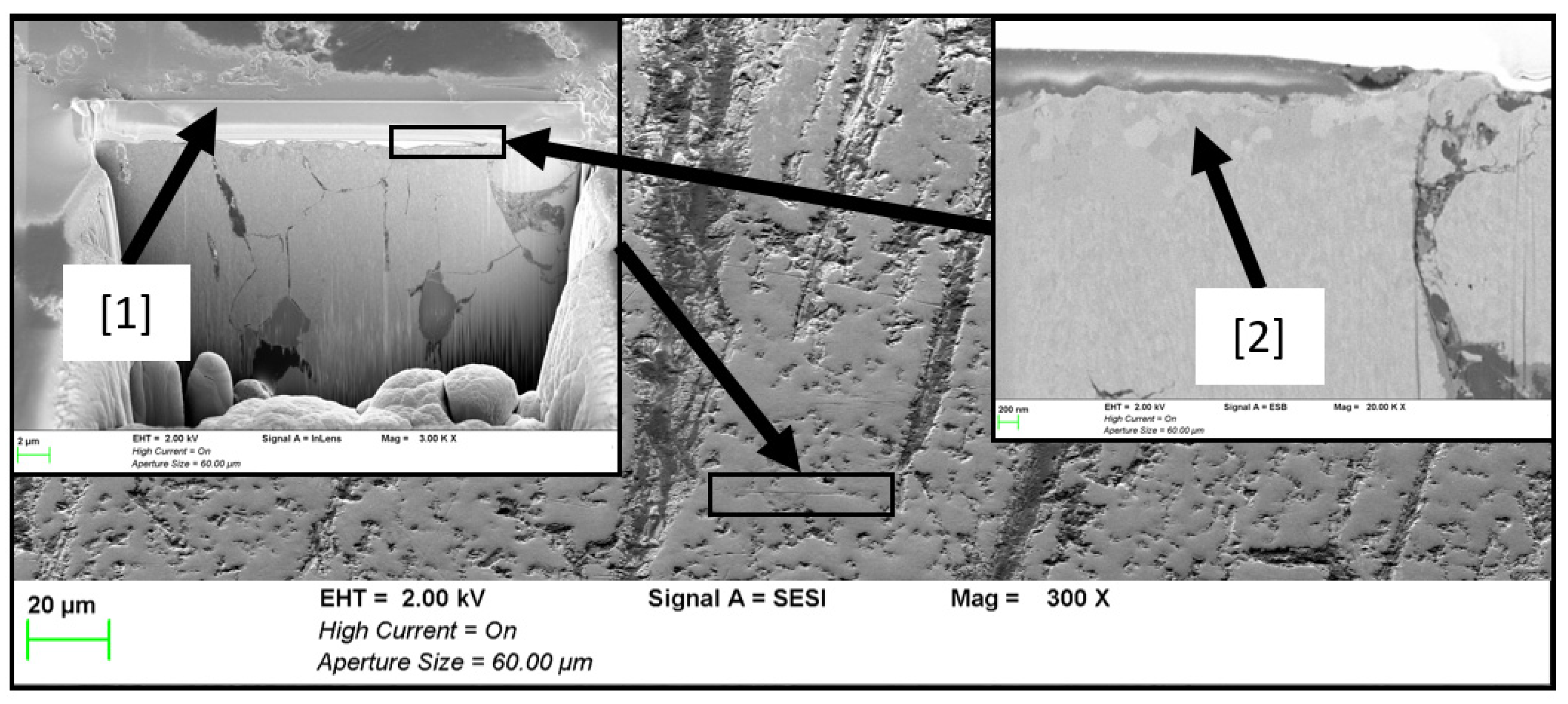 Lubricants 12 00218 g016