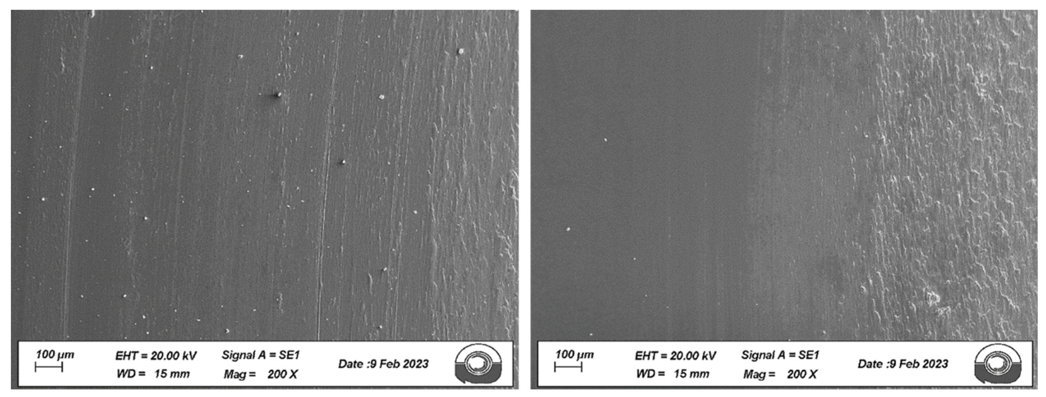 Lubricants 12 00222 g010