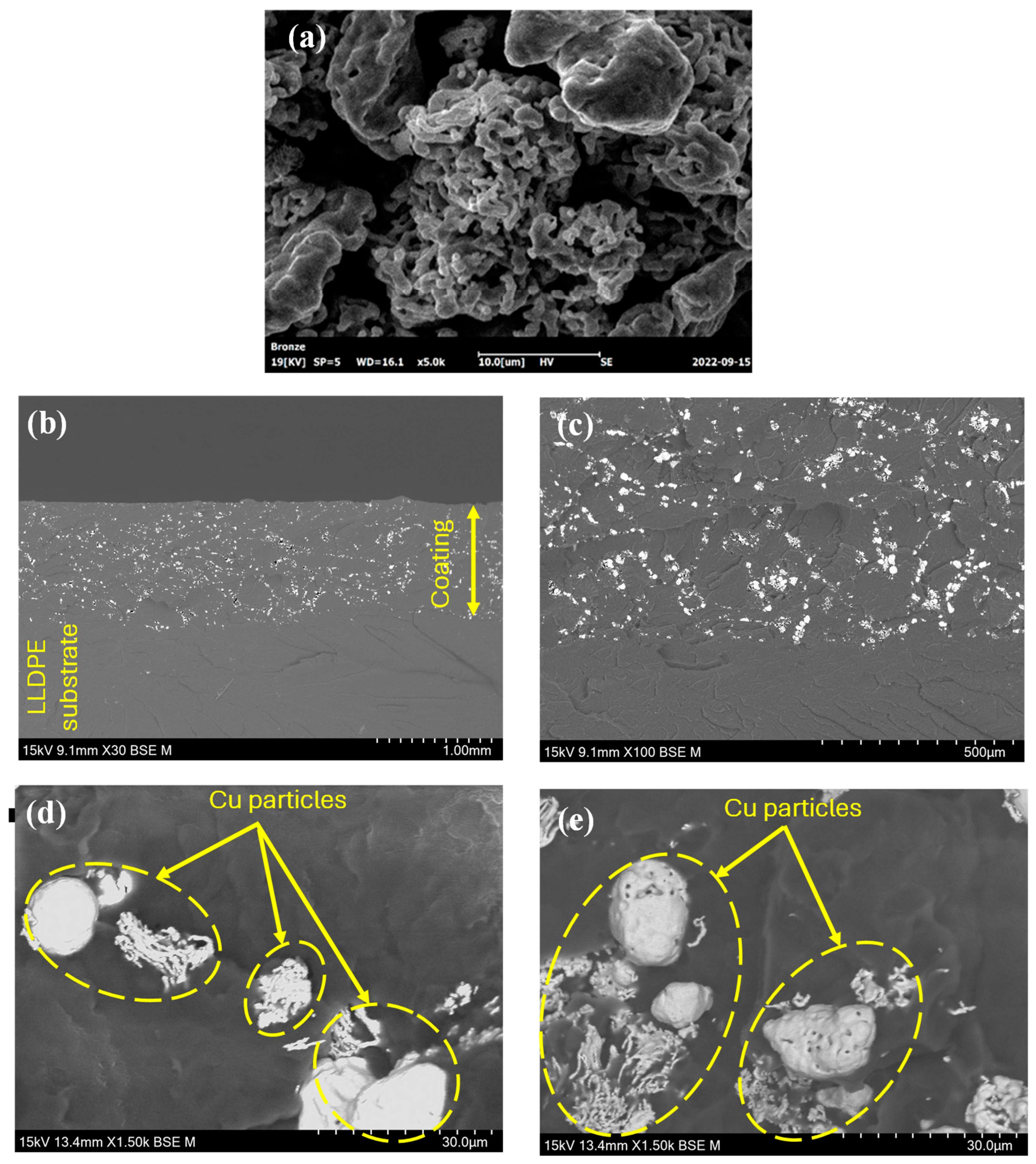 Lubricants 12 00231 g004