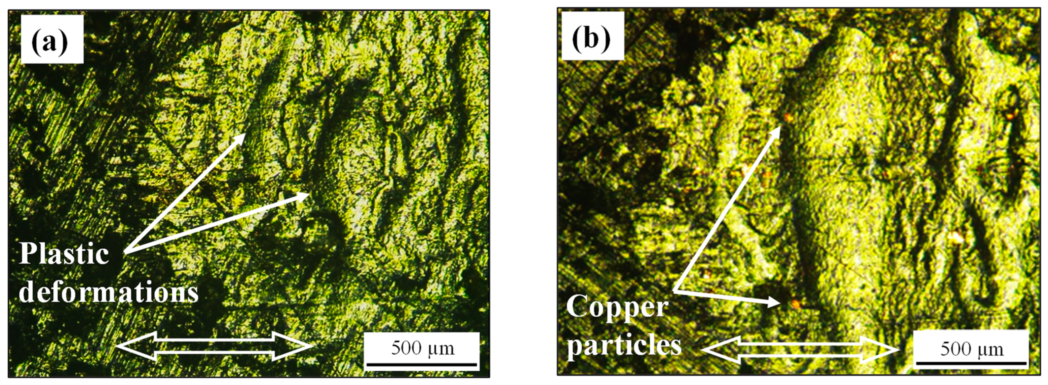 Lubricants 12 00231 g012