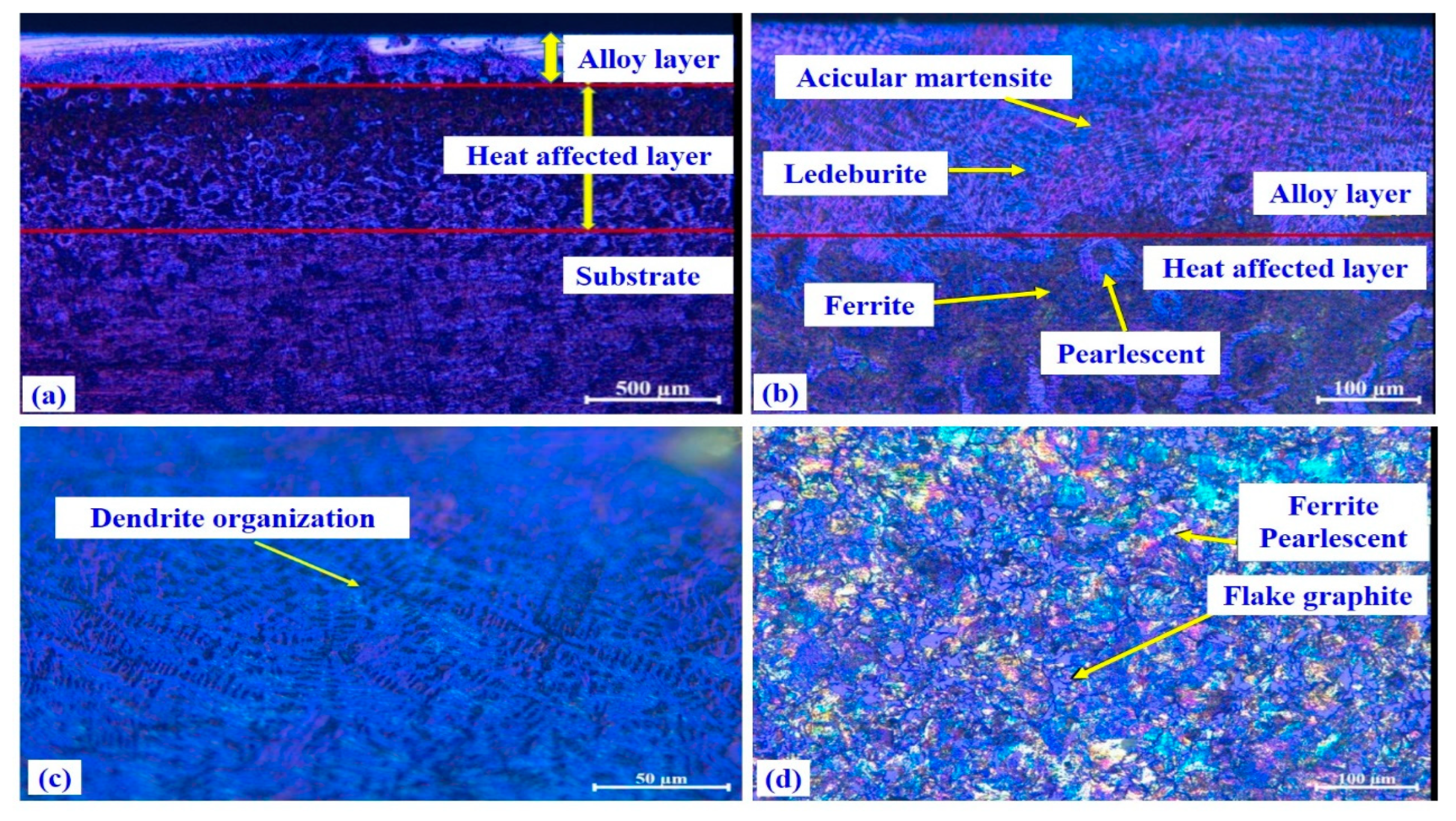 Lubricants 12 00232 g009