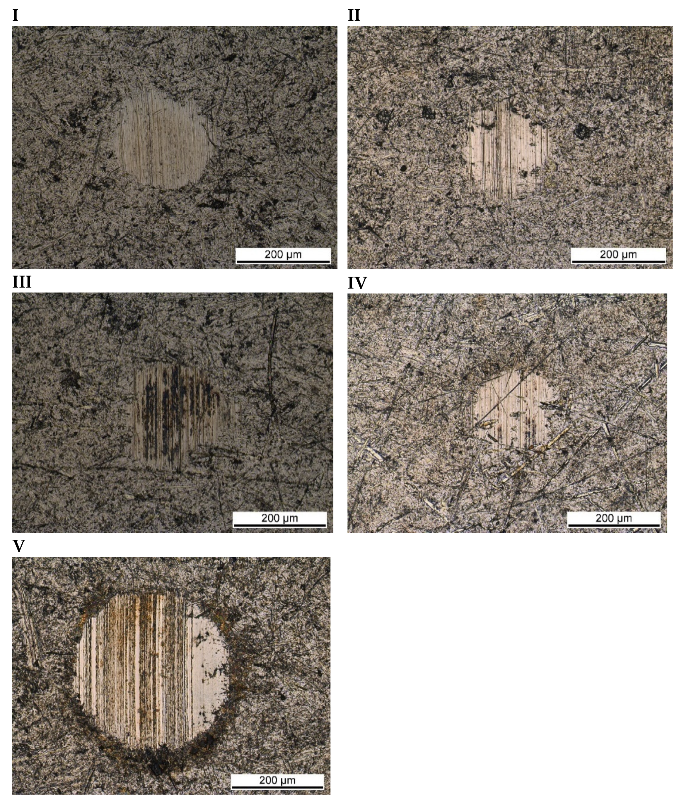 Lubricants 12 00247 g0a1