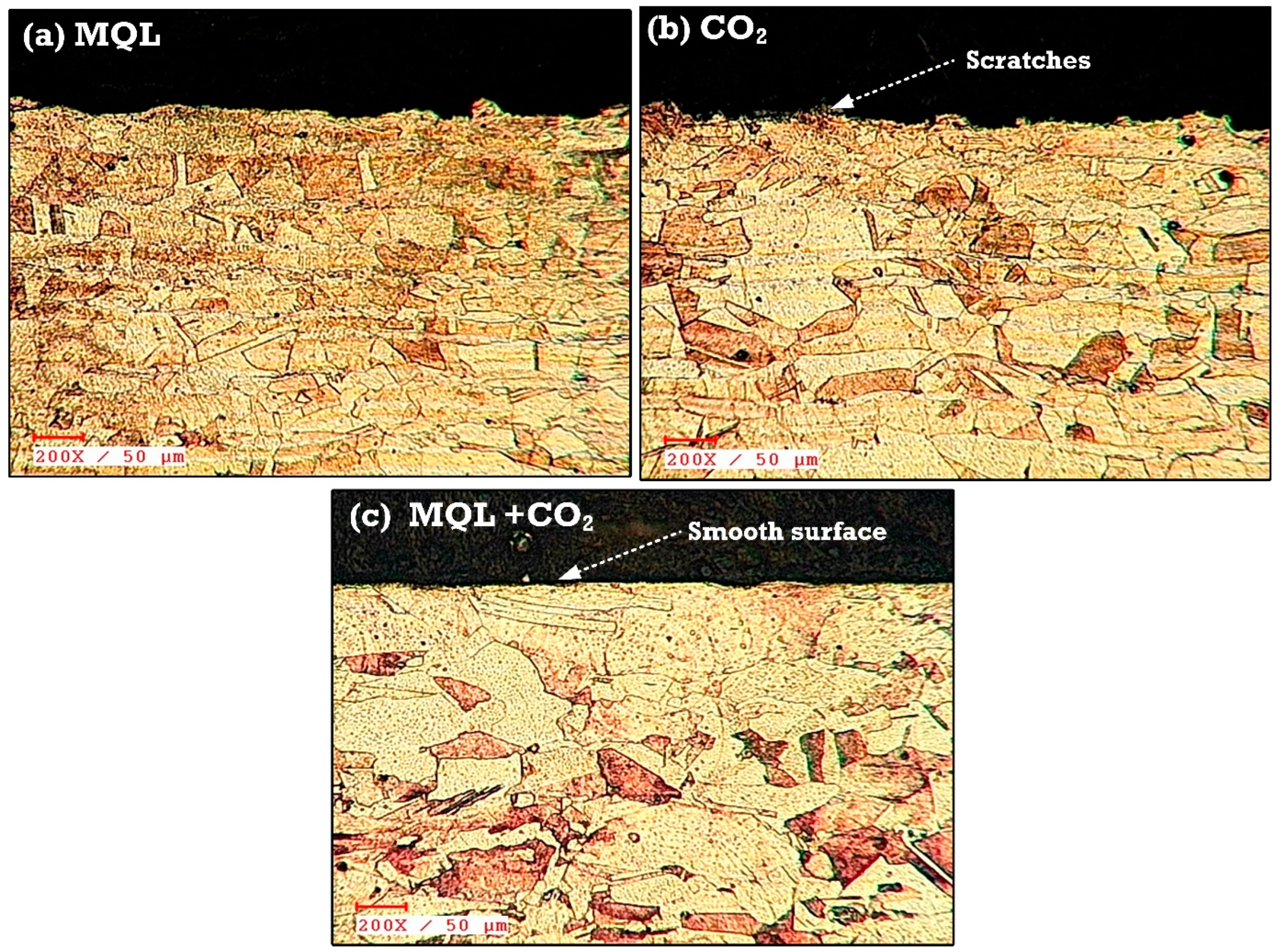 Lubricants 12 00248 g005