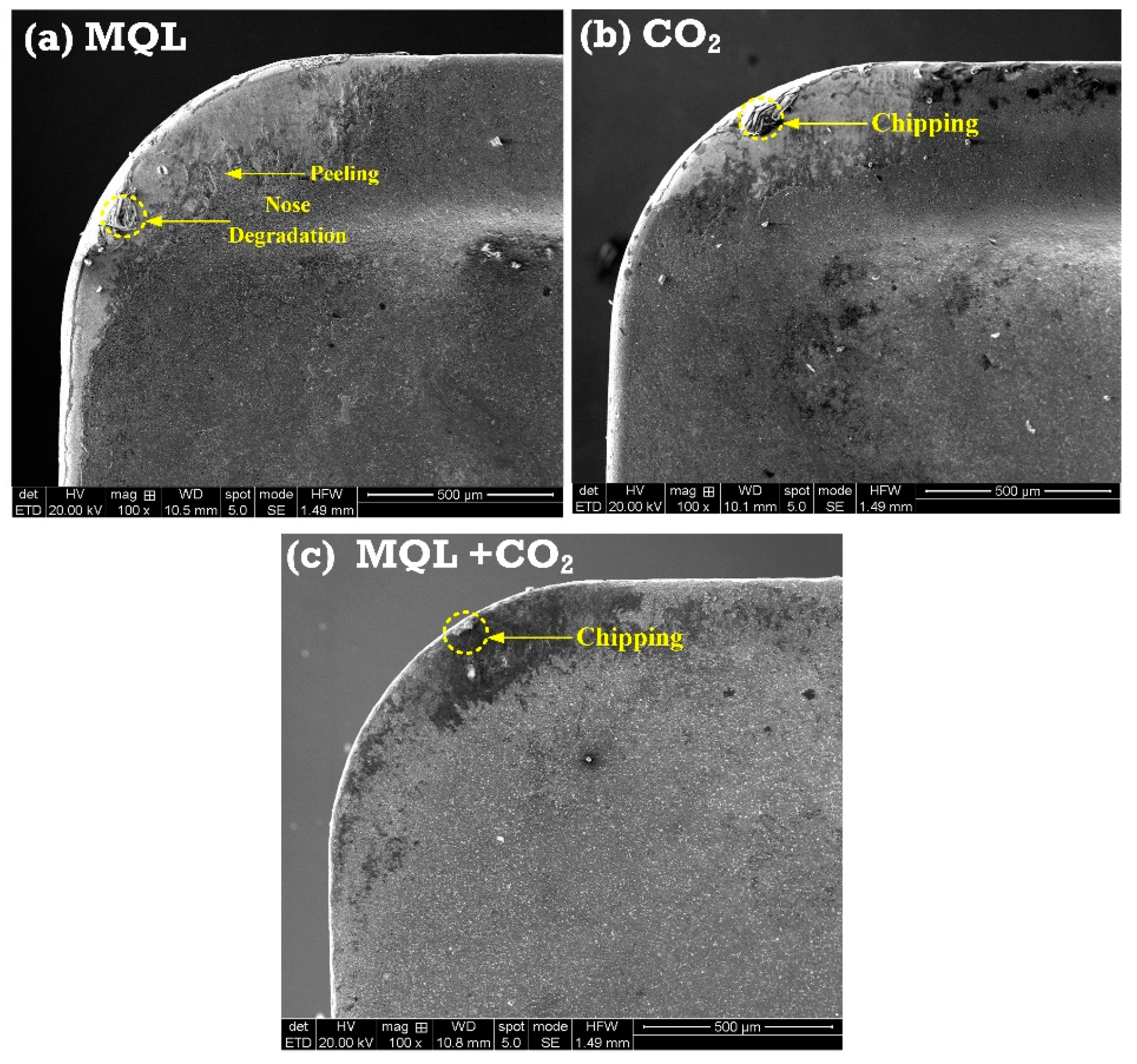 Lubricants 12 00248 g008