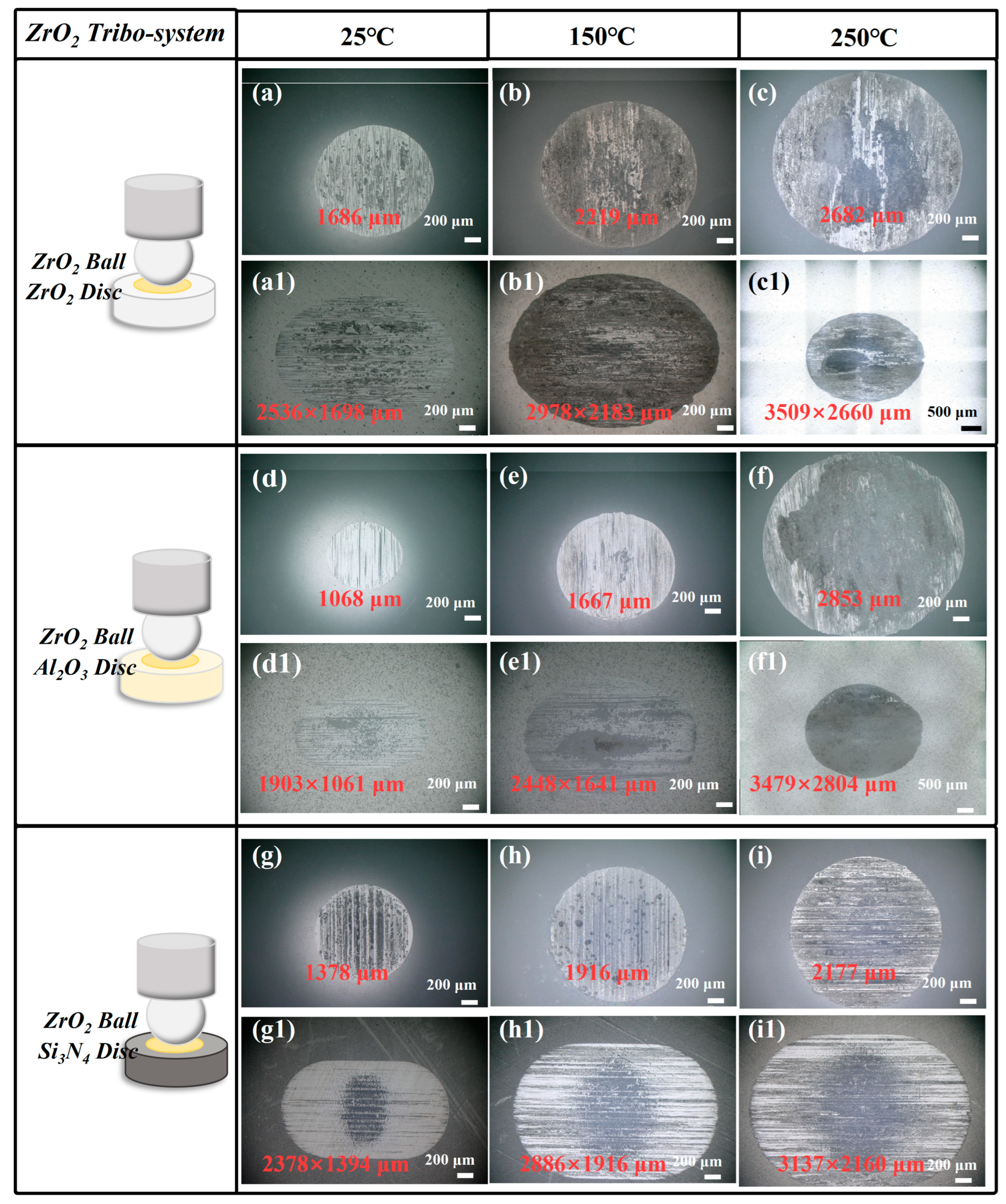 Lubricants 12 00249 g006