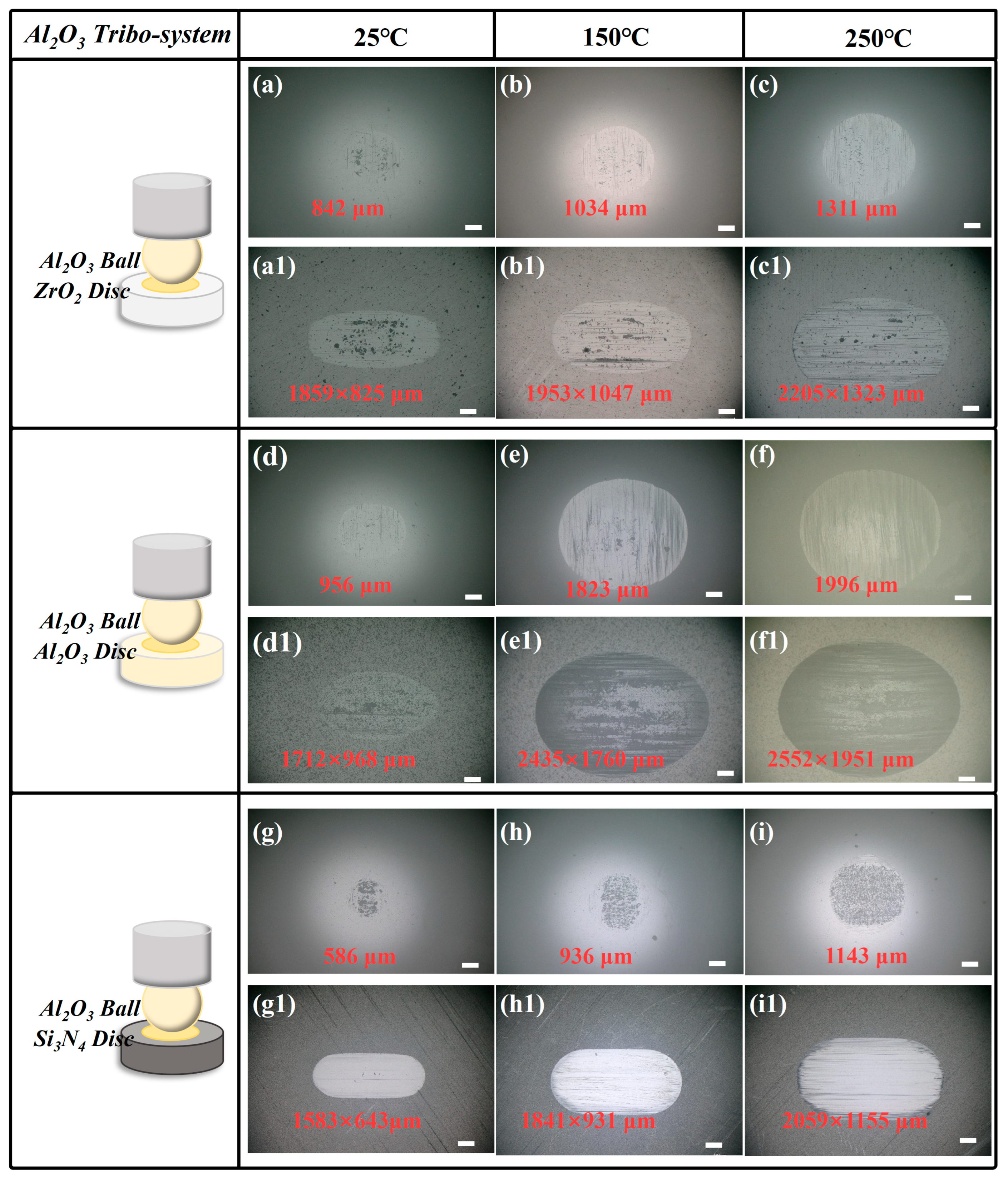 Lubricants 12 00249 g007