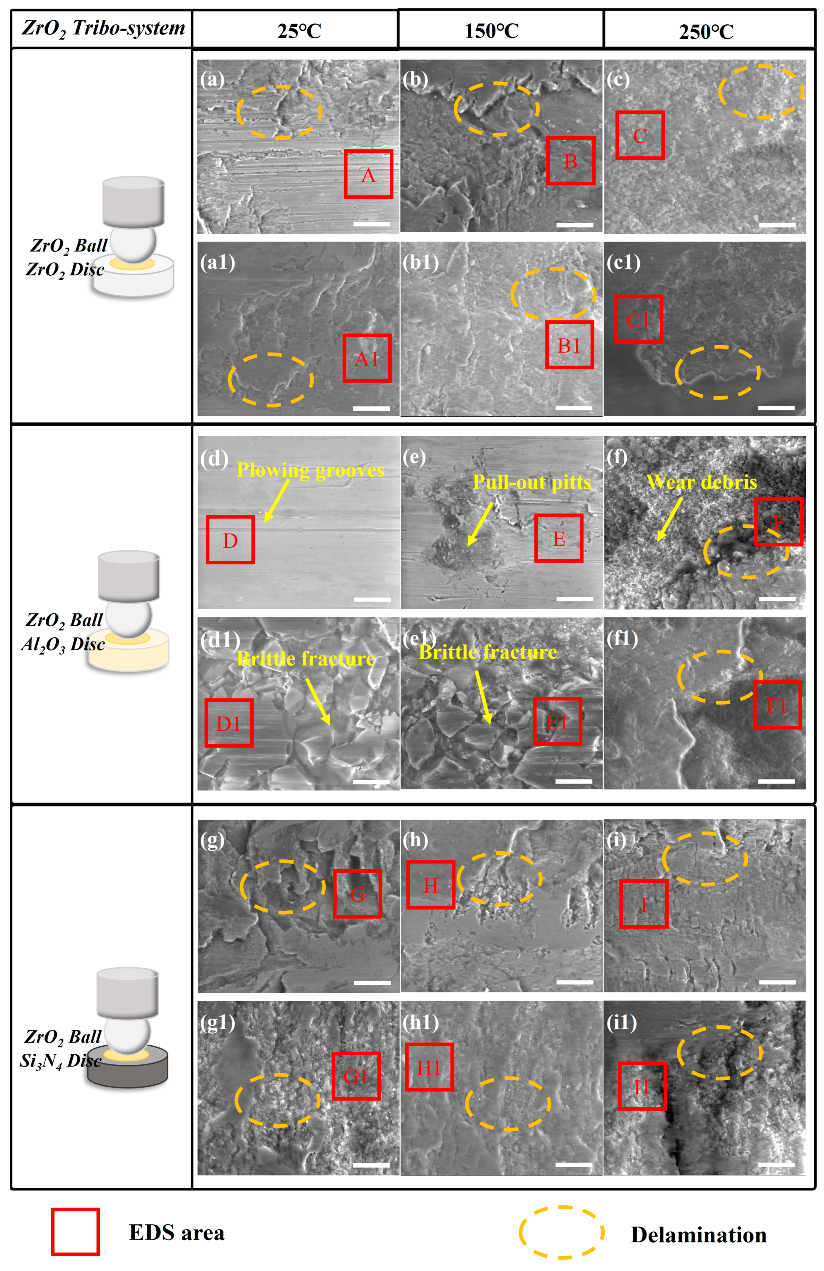 Lubricants 12 00249 g010