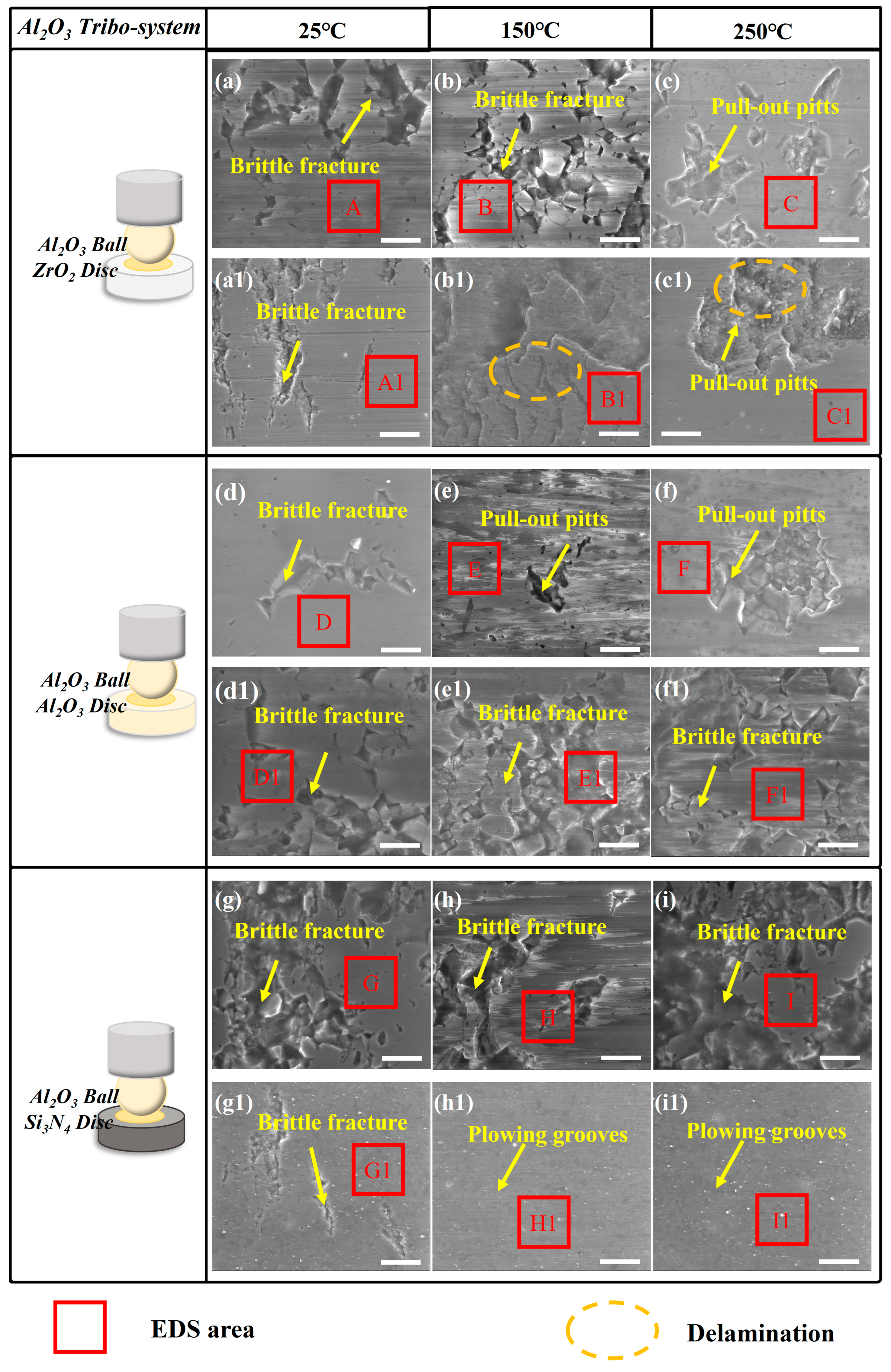 Lubricants 12 00249 g011