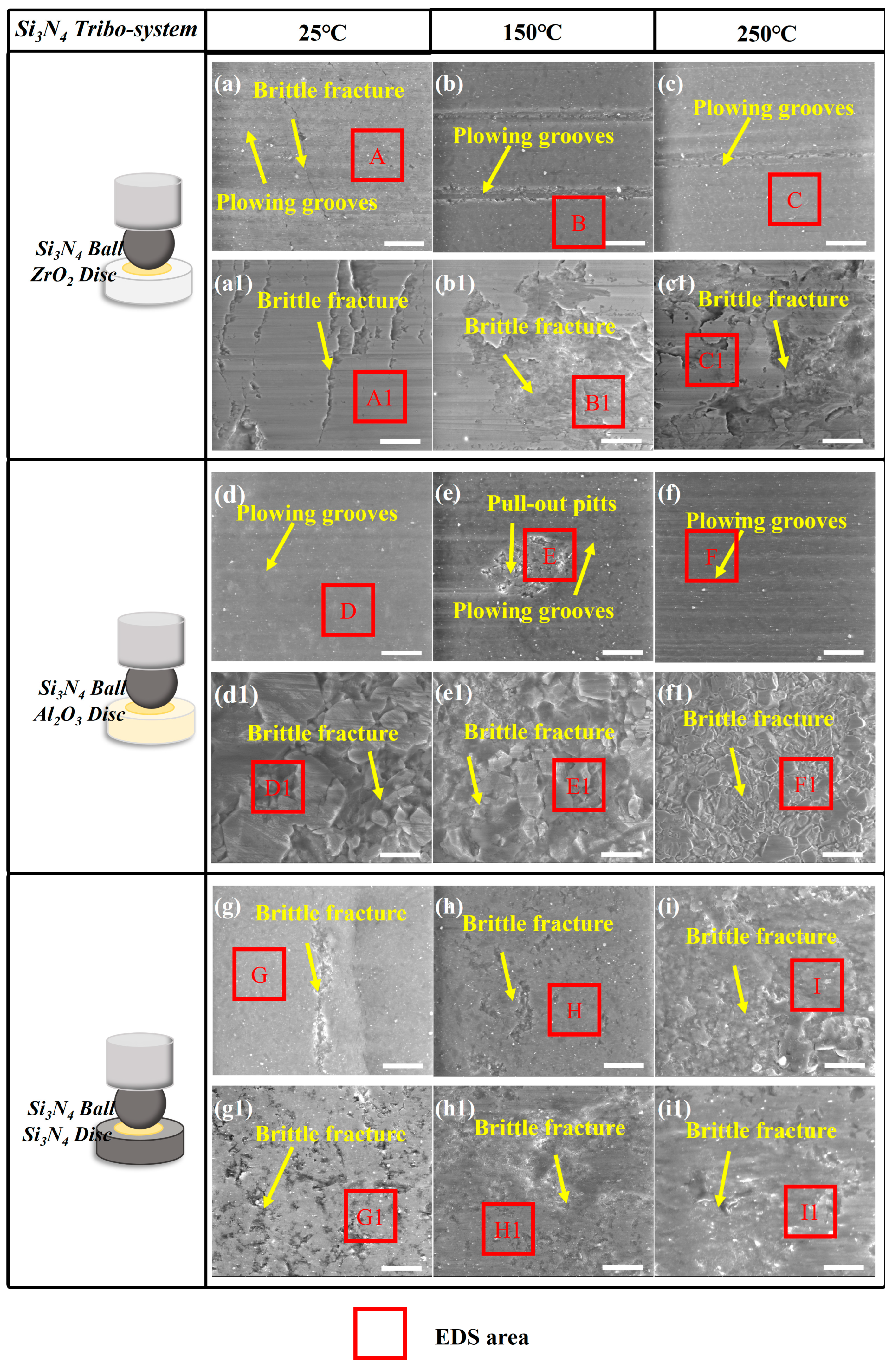 Lubricants 12 00249 g012