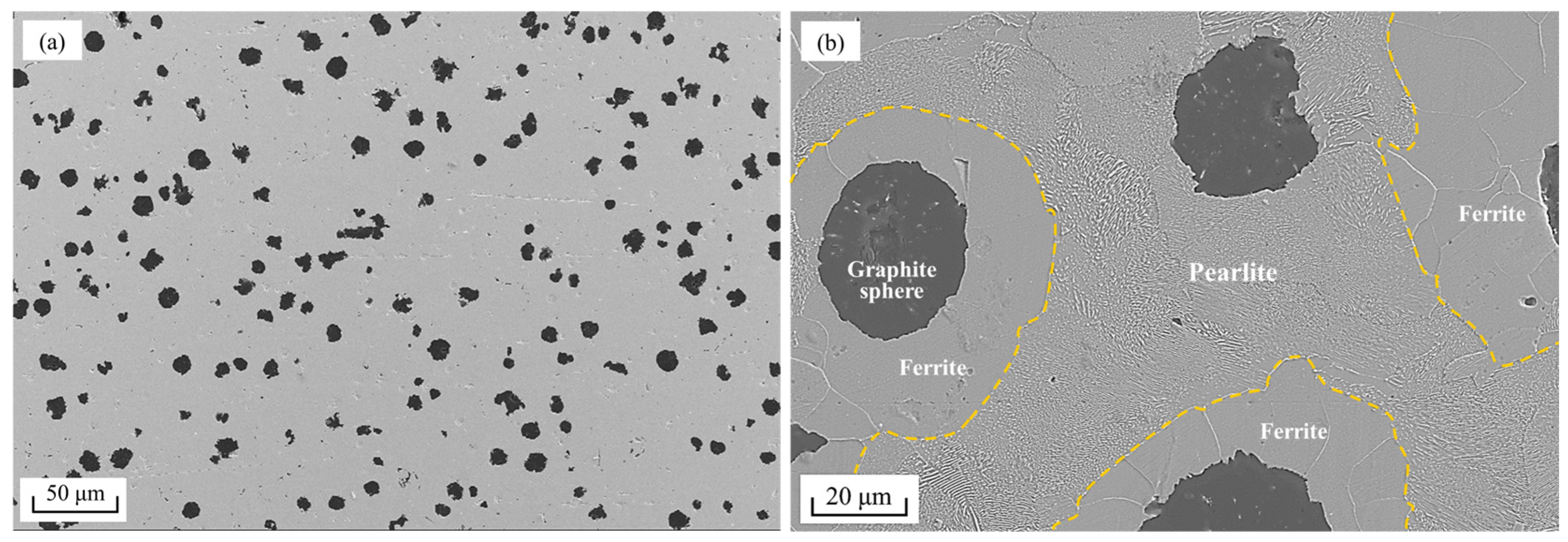 Lubricants 12 00266 g001