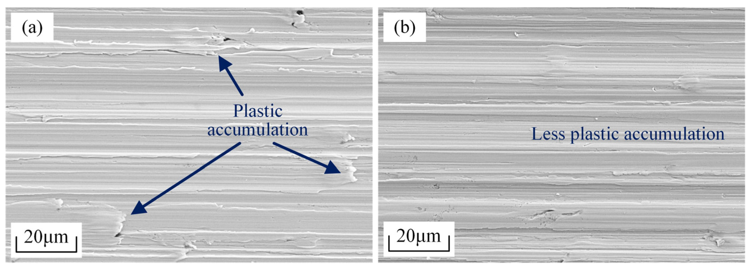 Lubricants 12 00266 g009