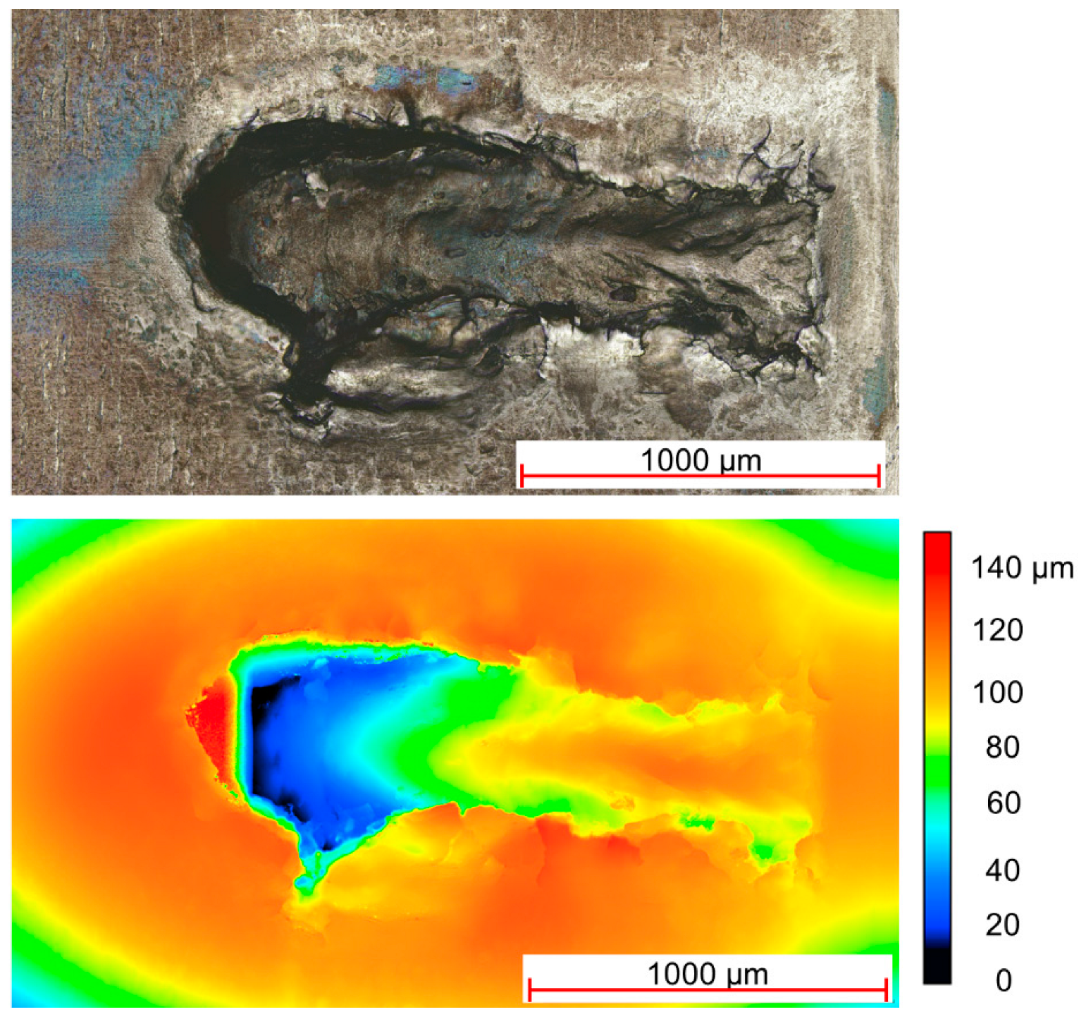Lubricants 12 00271 g005