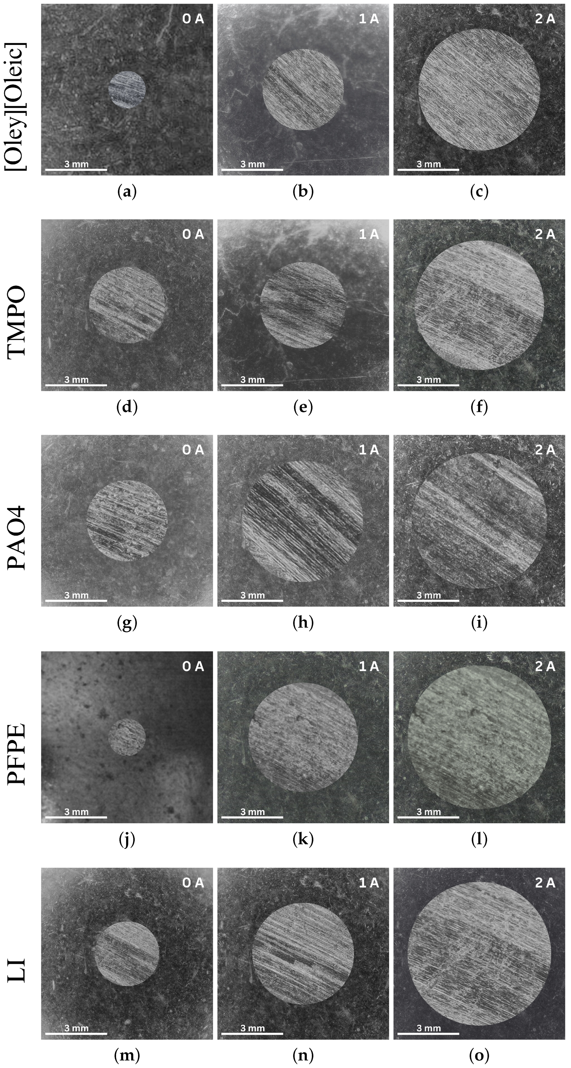 Lubricants 12 00272 g007