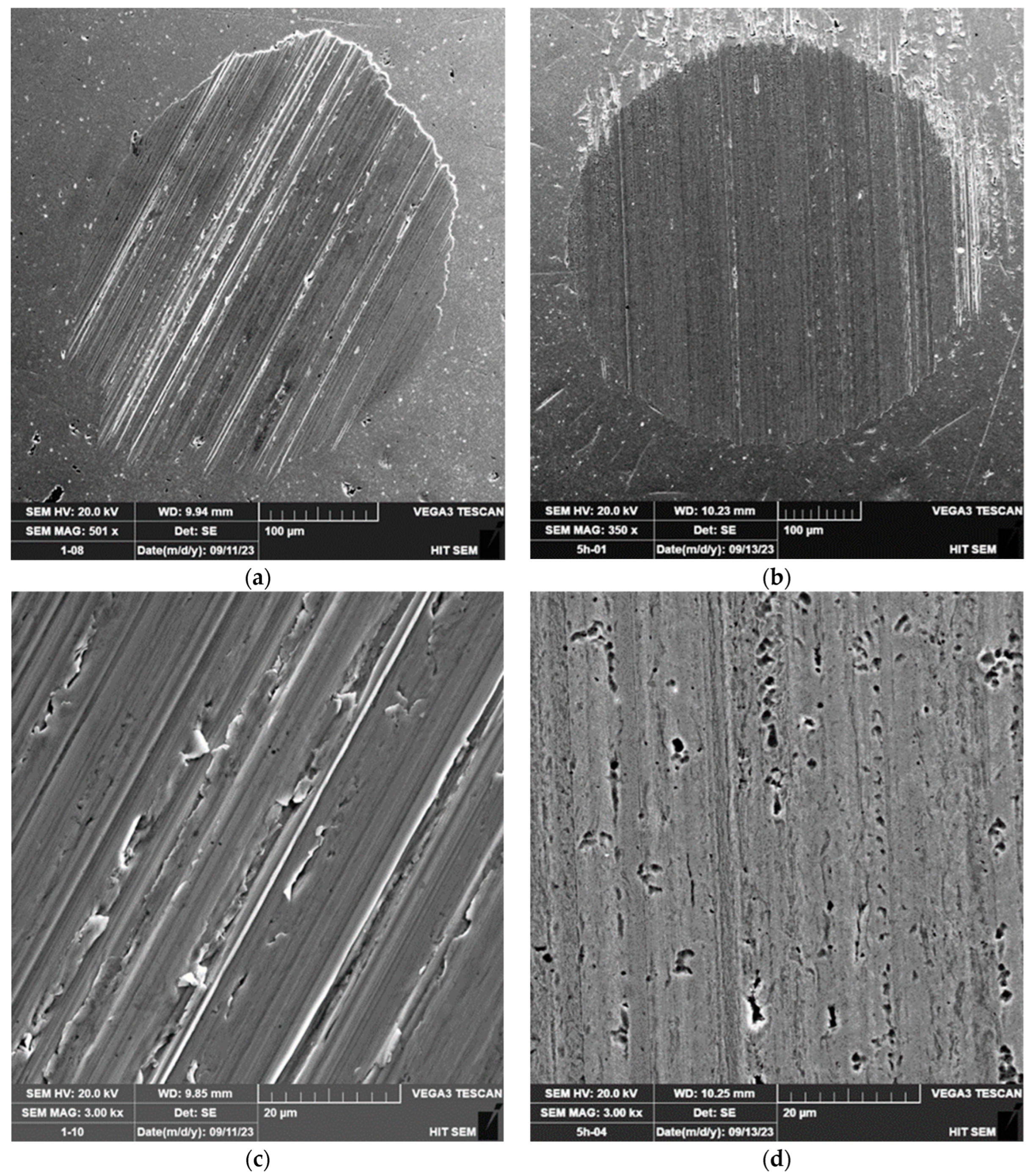 Lubricants 12 00276 g004