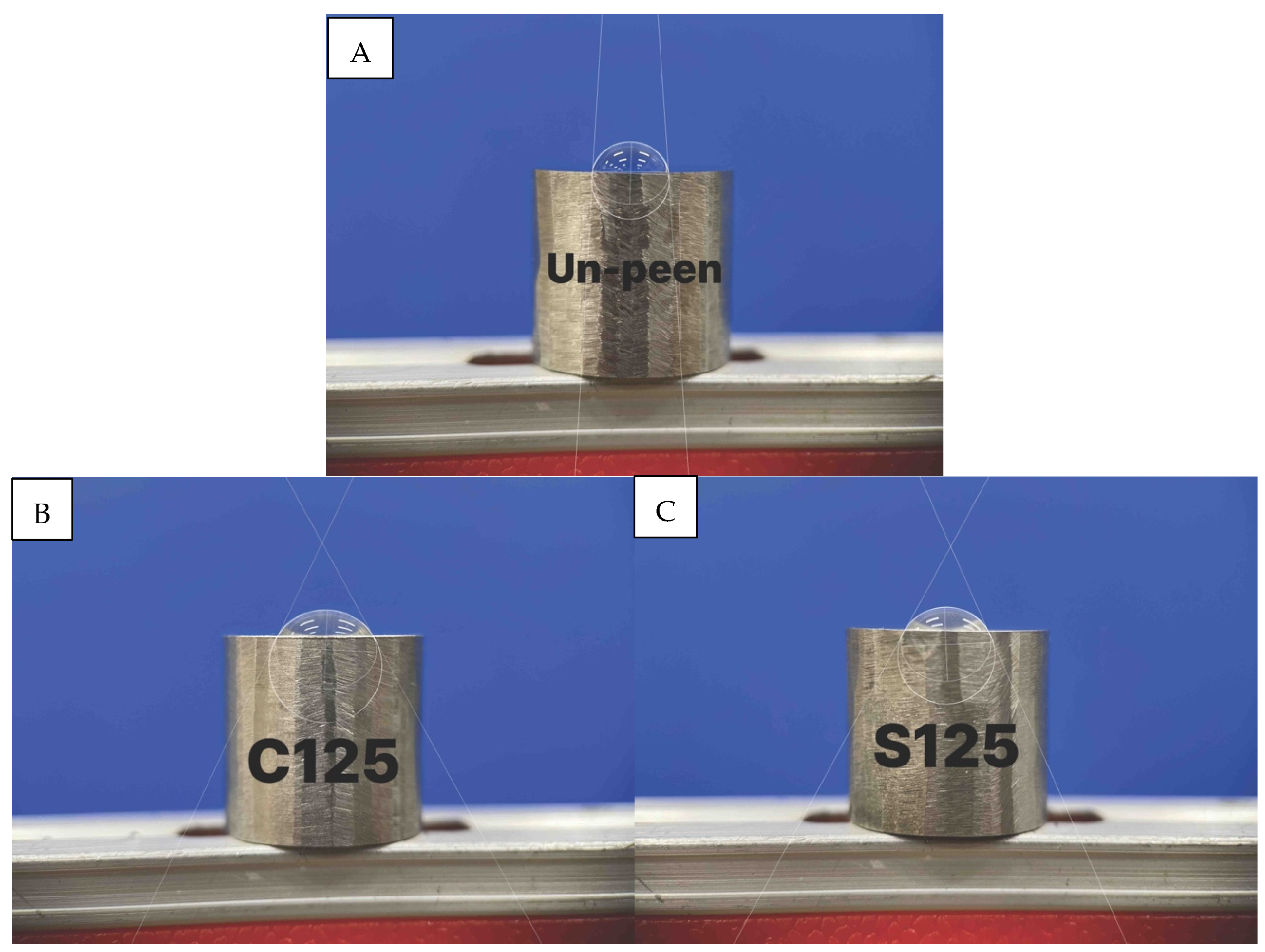 Lubricants 12 00278 g008