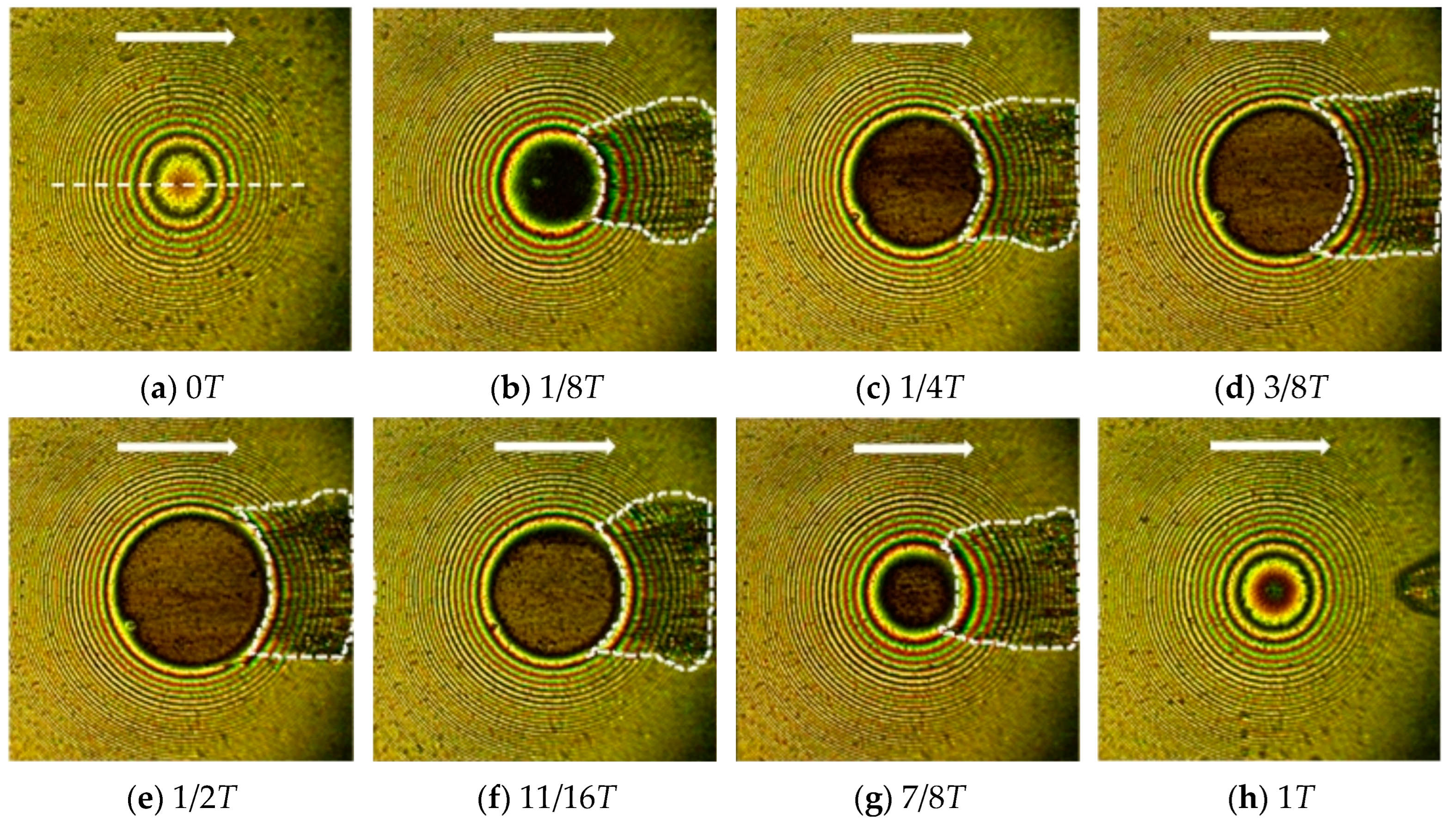 Lubricants 12 00279 g006 Lubricants 12 00279 g006