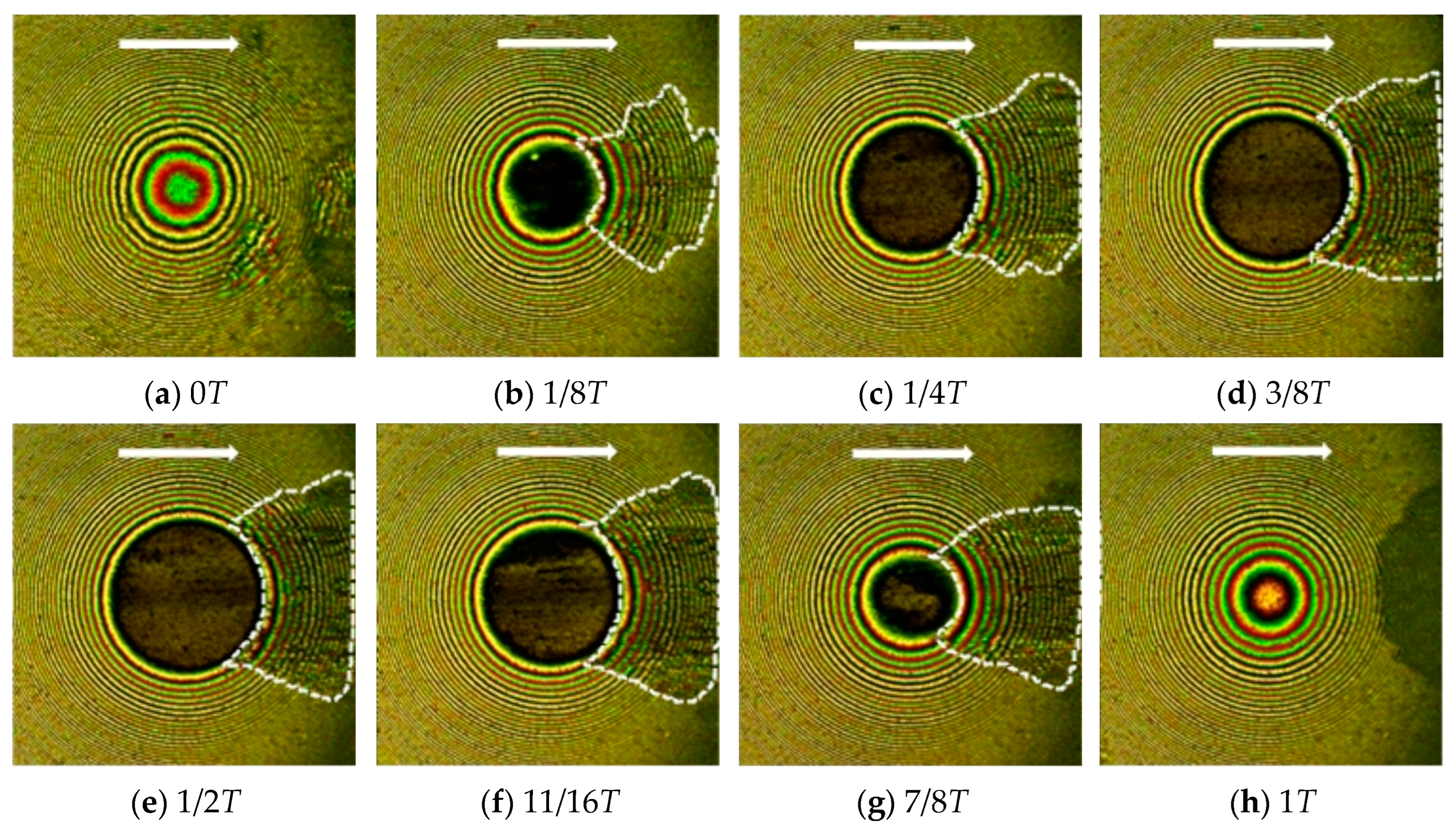 Lubricants 12 00279 g010 Lubricants 12 00279 g010