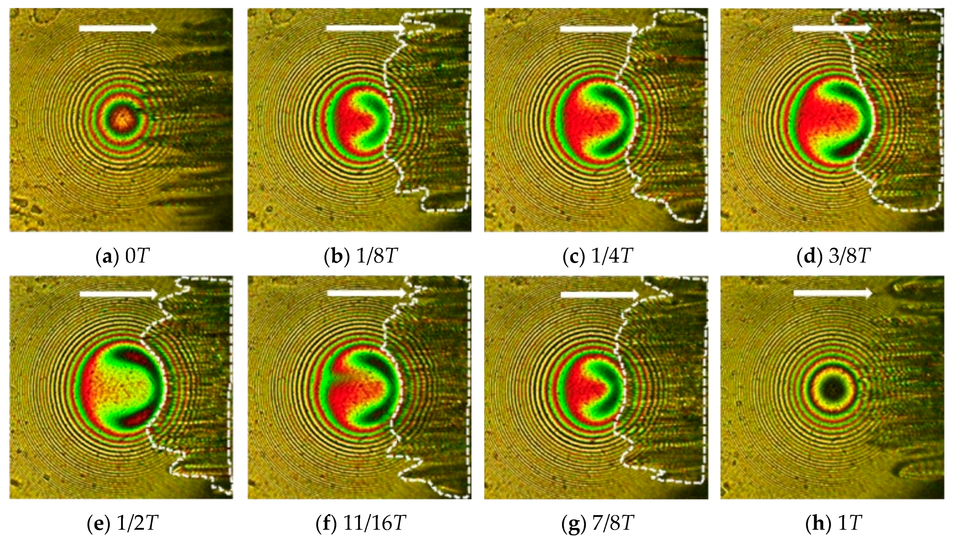 Lubricants 12 00279 g020 Lubricants 12 00279 g020
