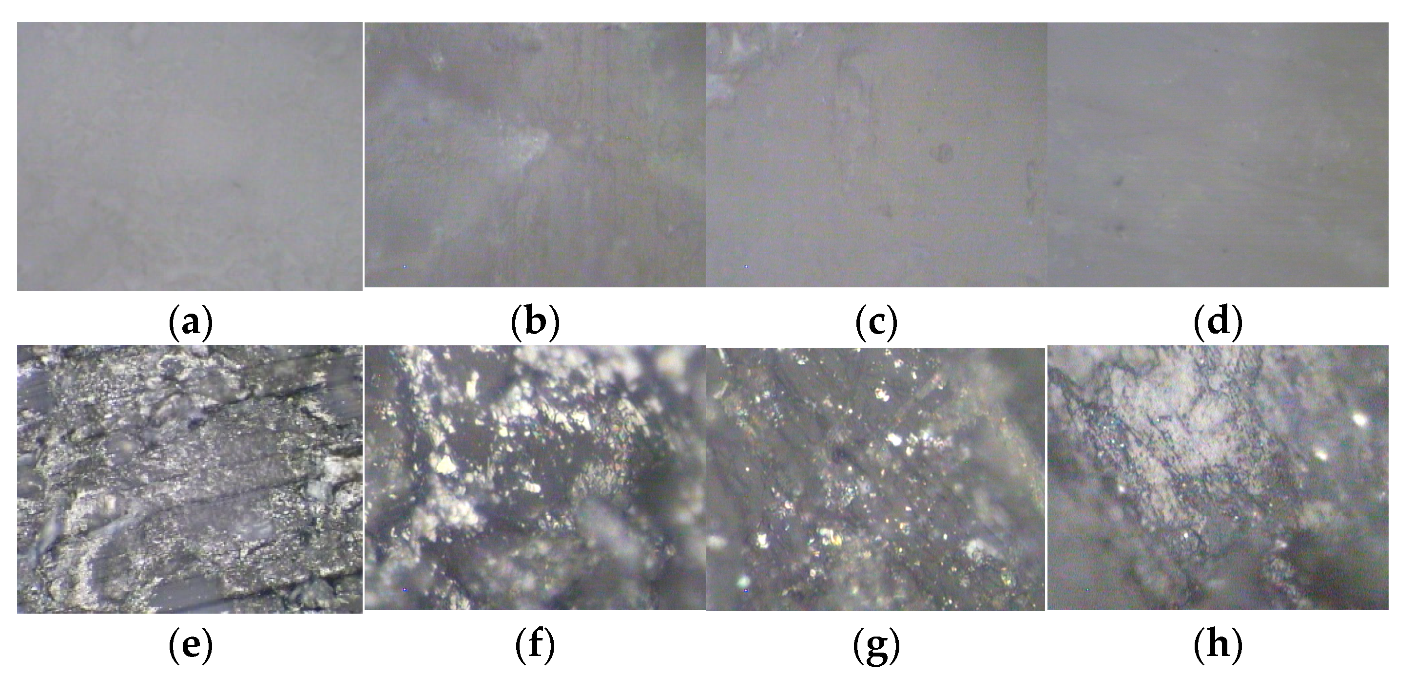 Lubricants 12 00288 g007