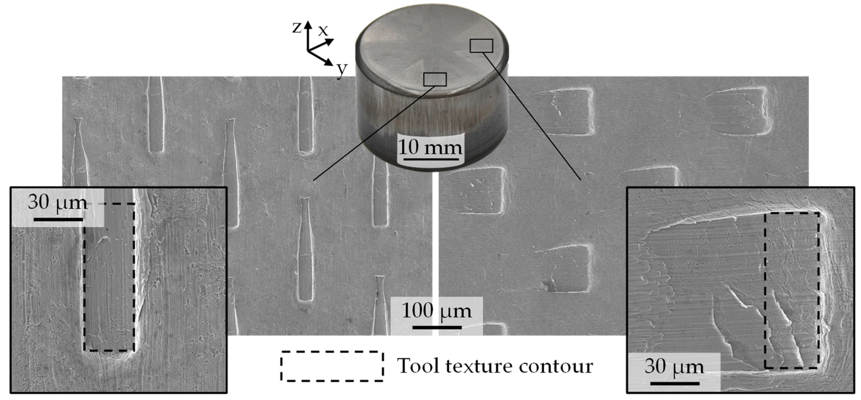 Lubricants 12 00291 g006